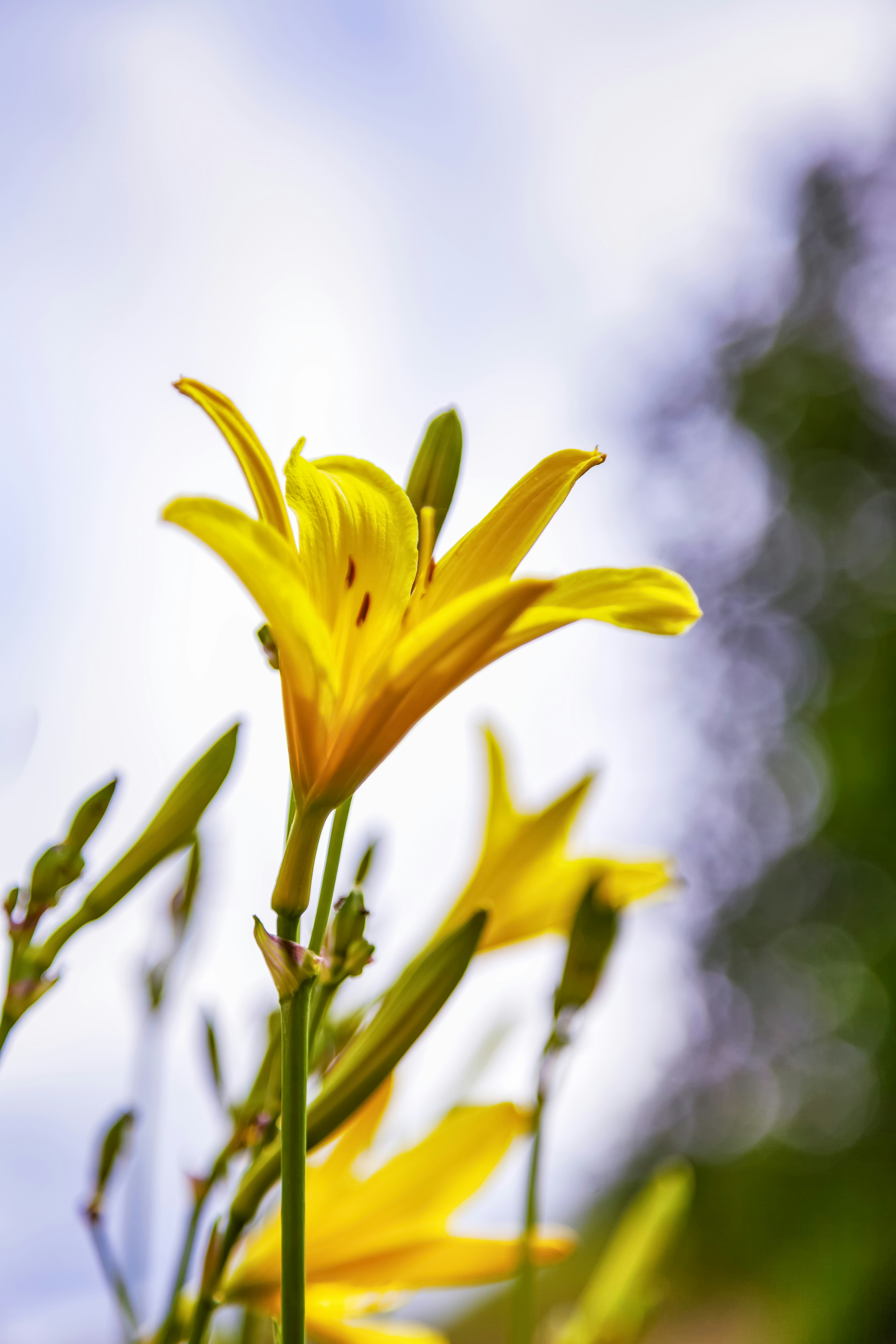 Photo by olegpodi