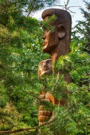 Wooden sculpture of a man's head peeking through trees.