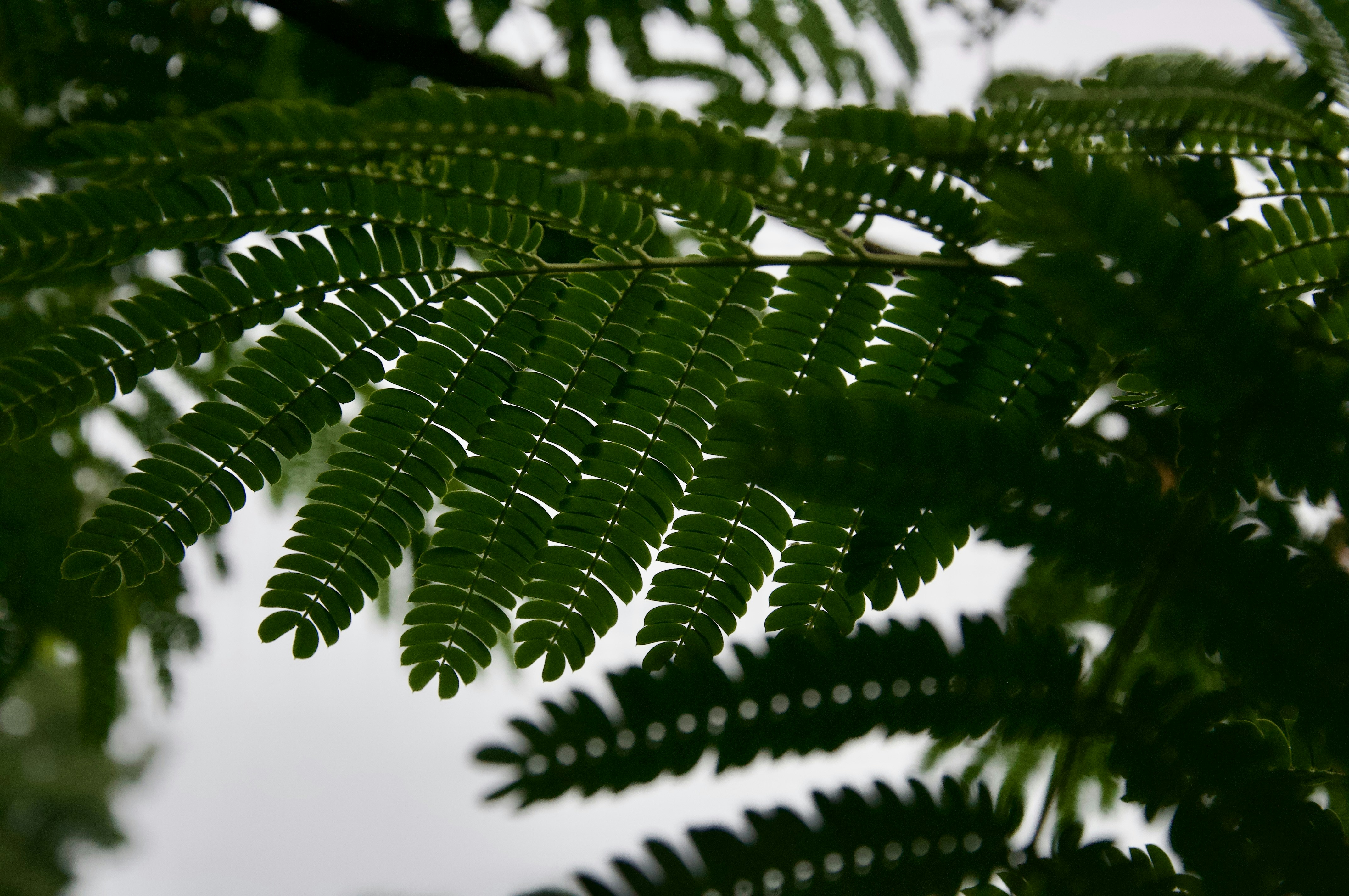 Photo by ryleighhenschen