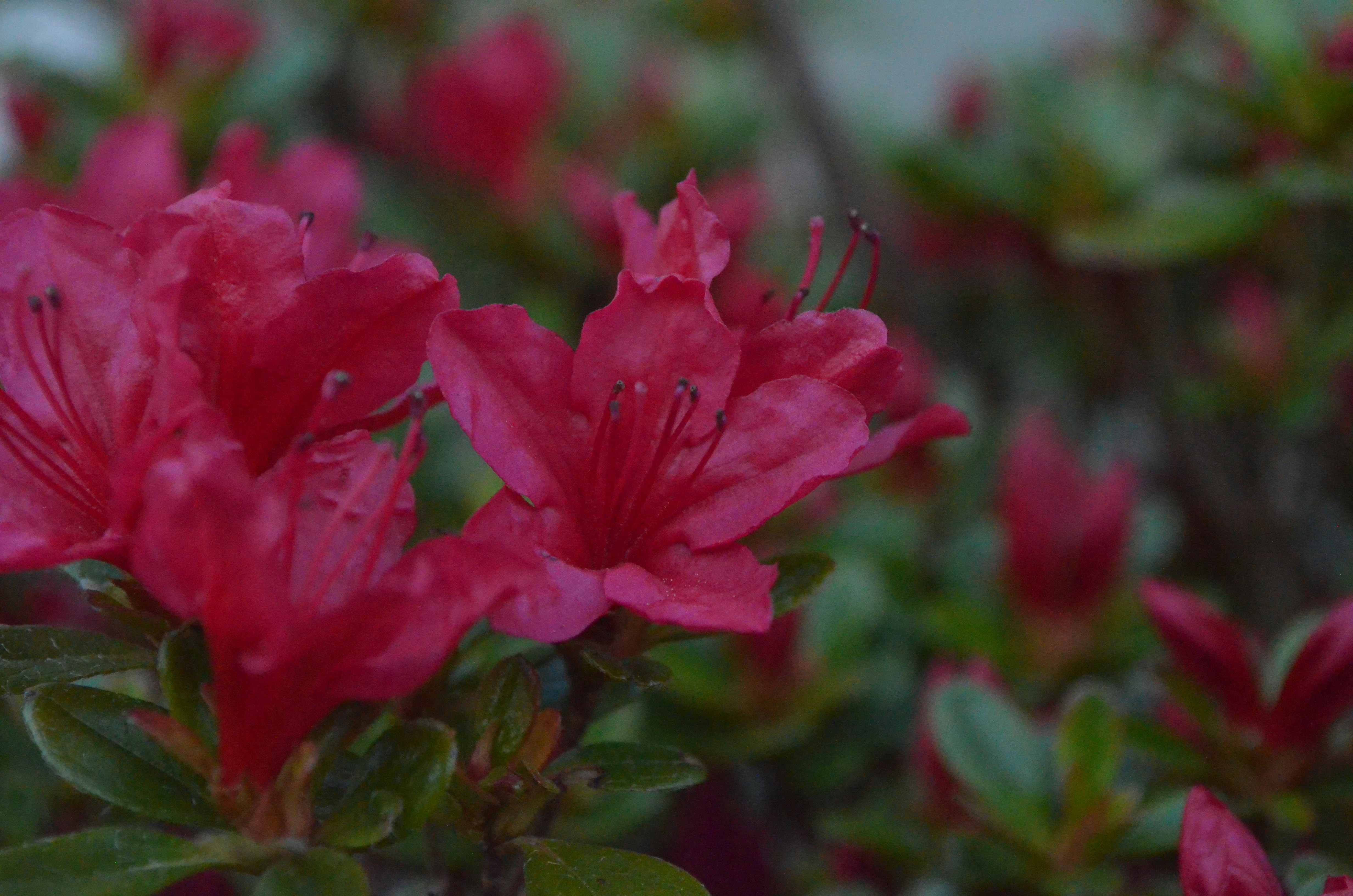 Photo by dochka_subota