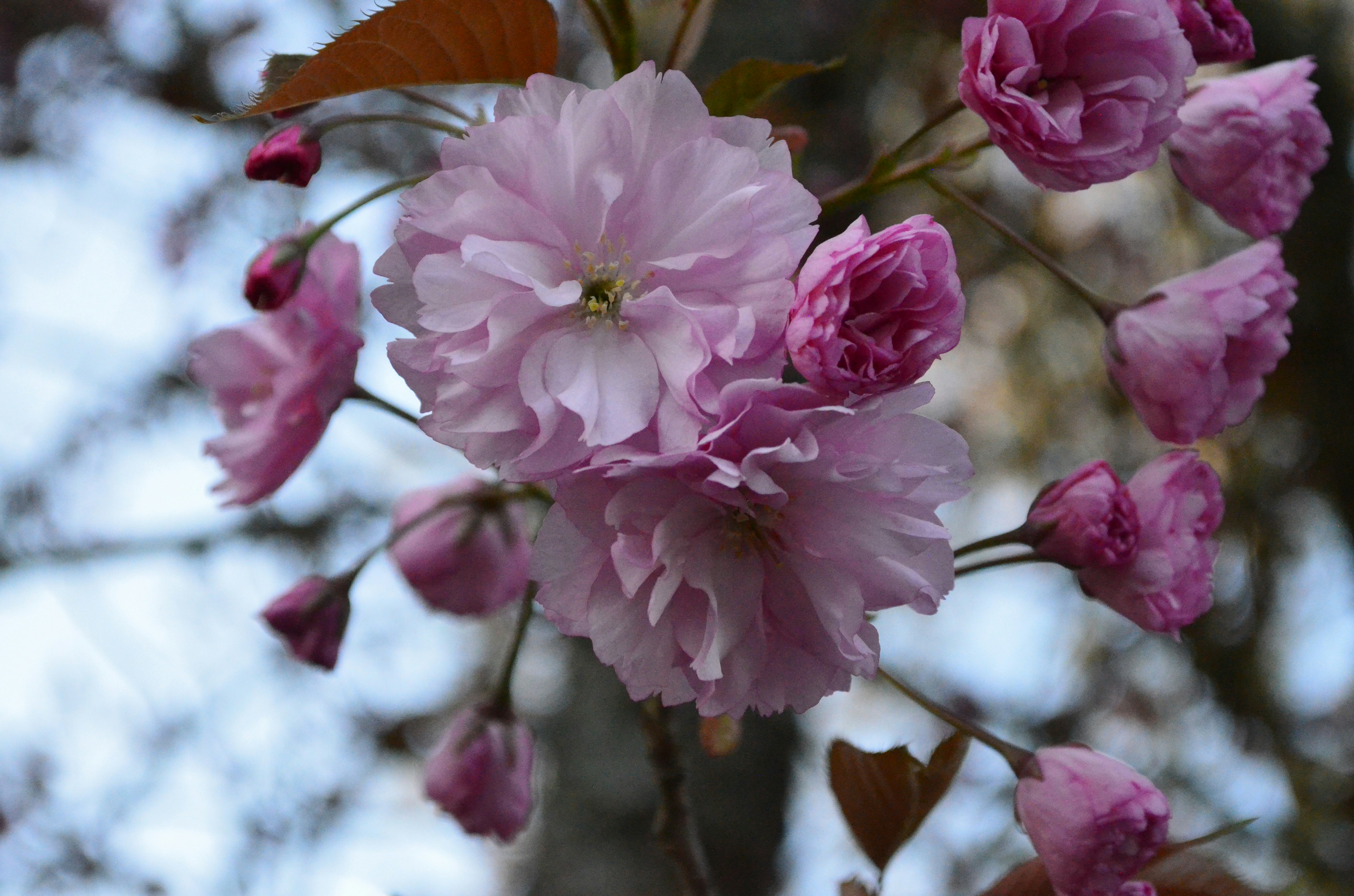 Photo by dochka_subota