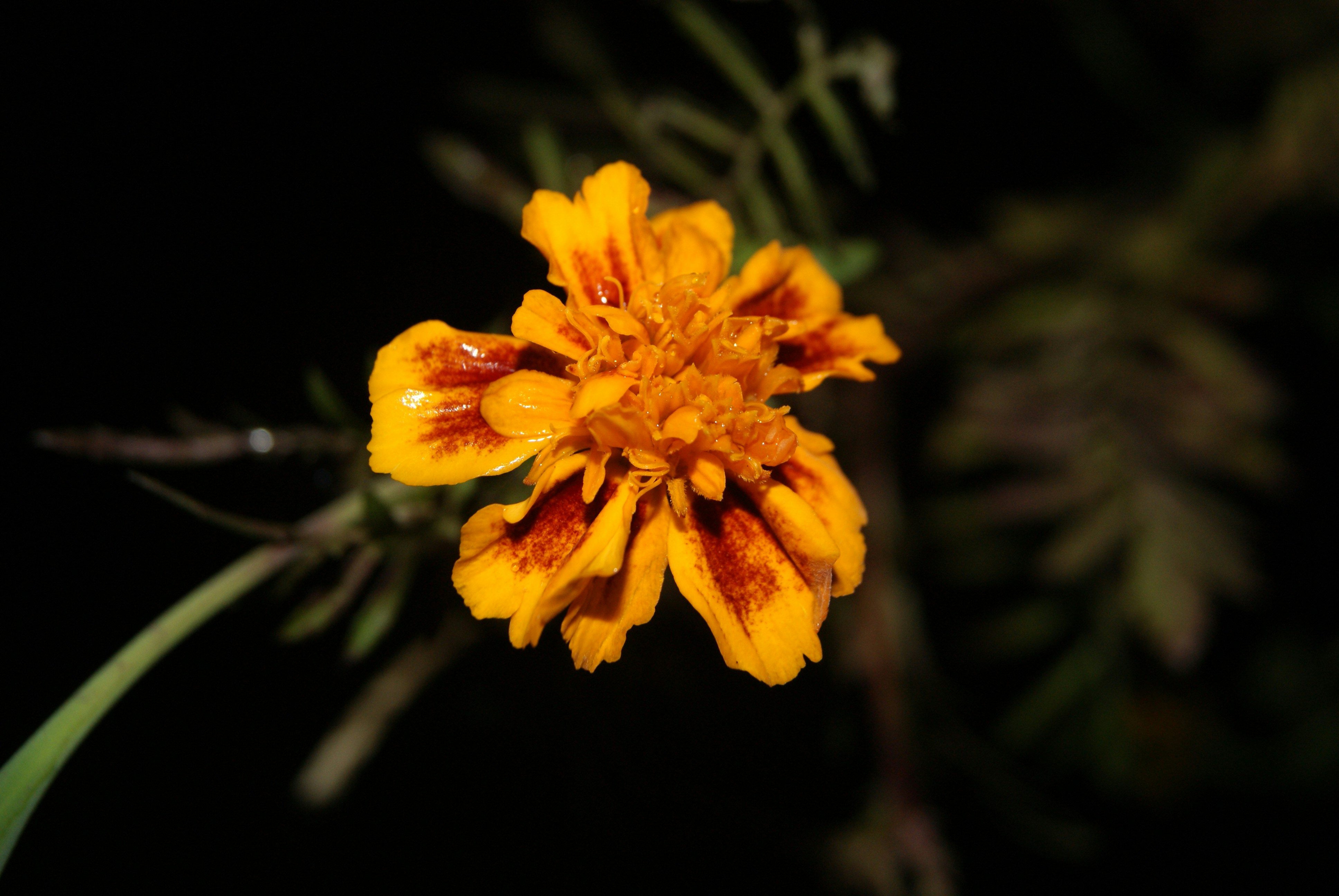 Photo by dochka_subota