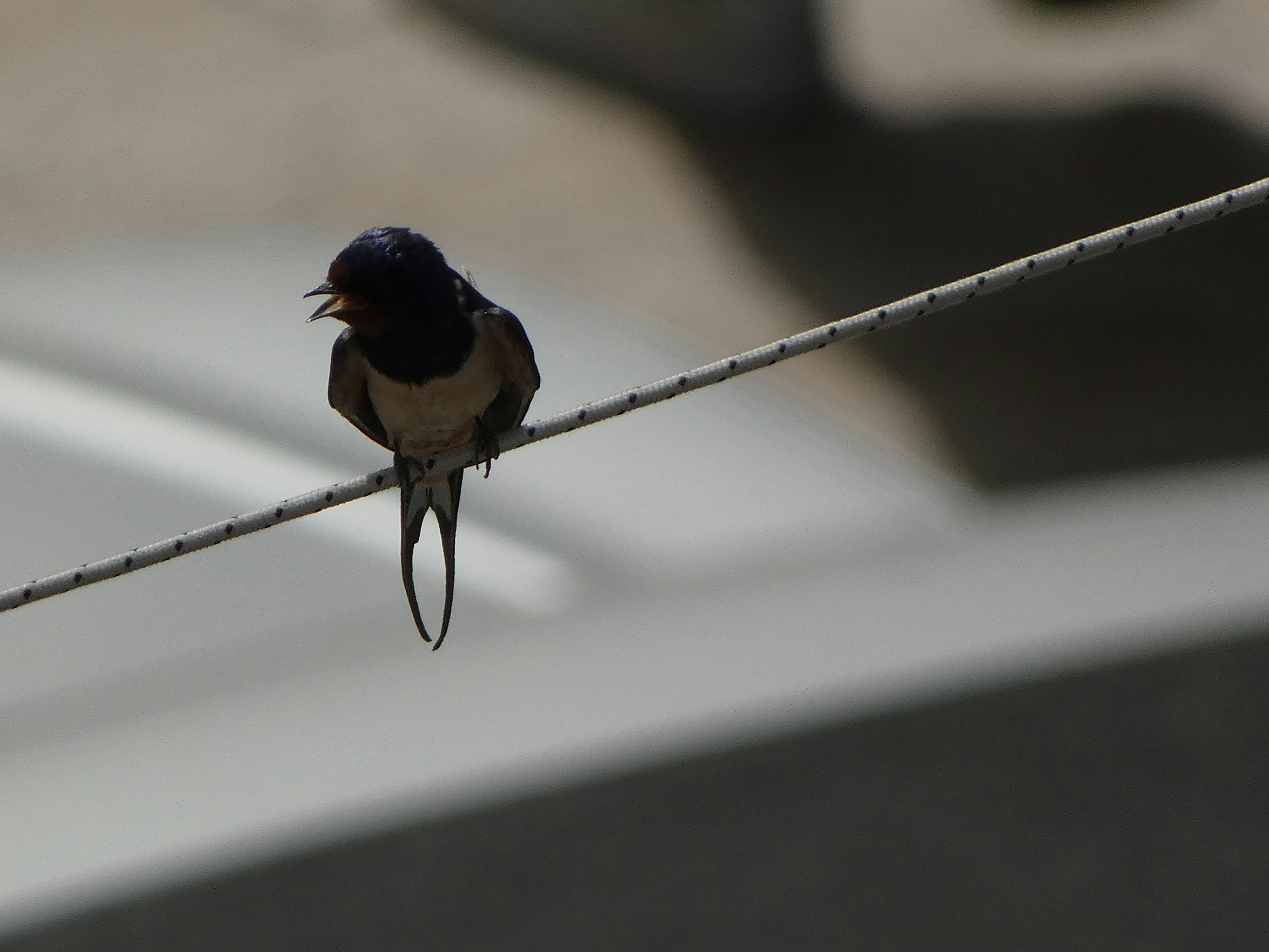 Photo by onderandinc