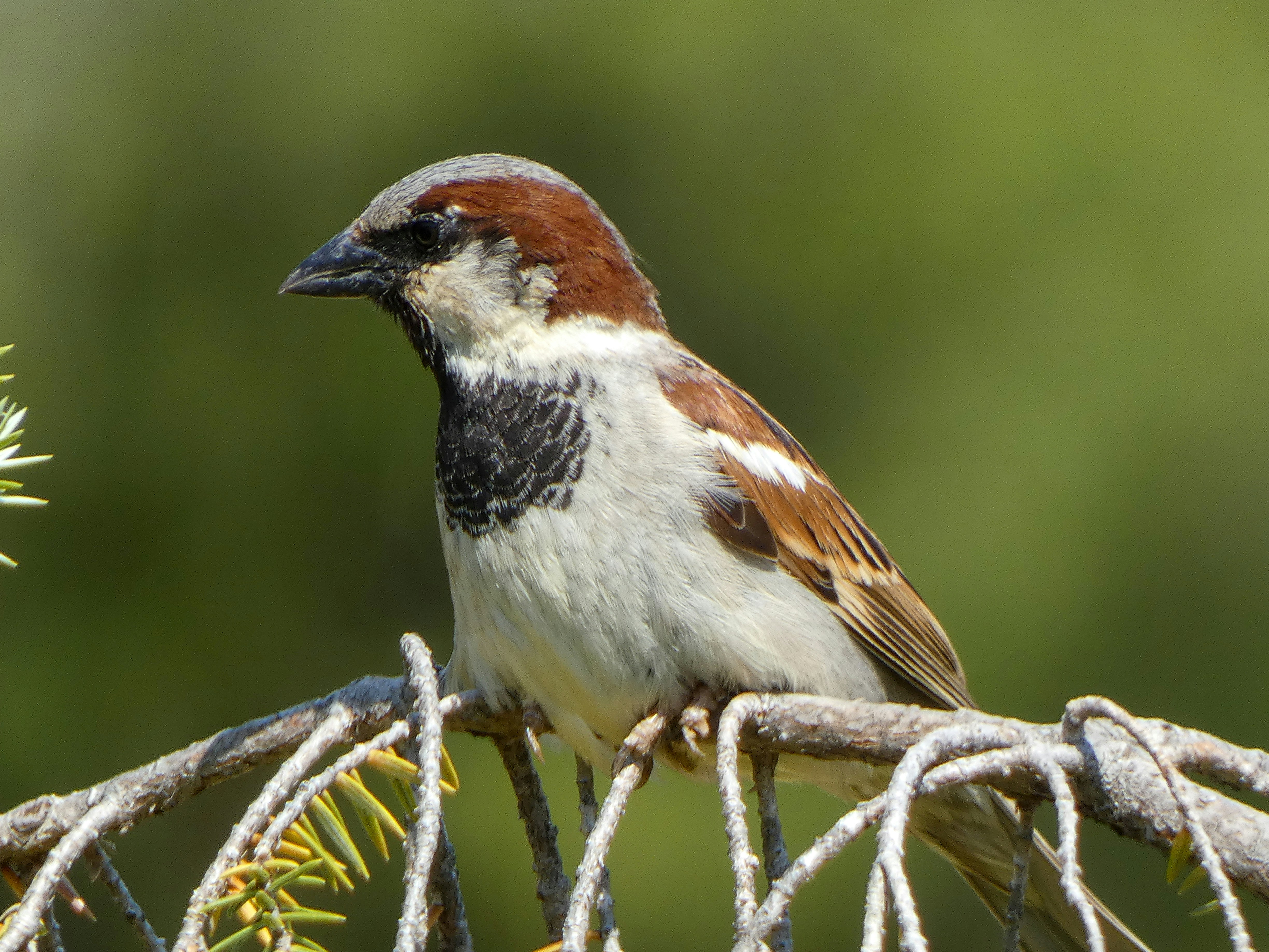 Photo by onderandinc