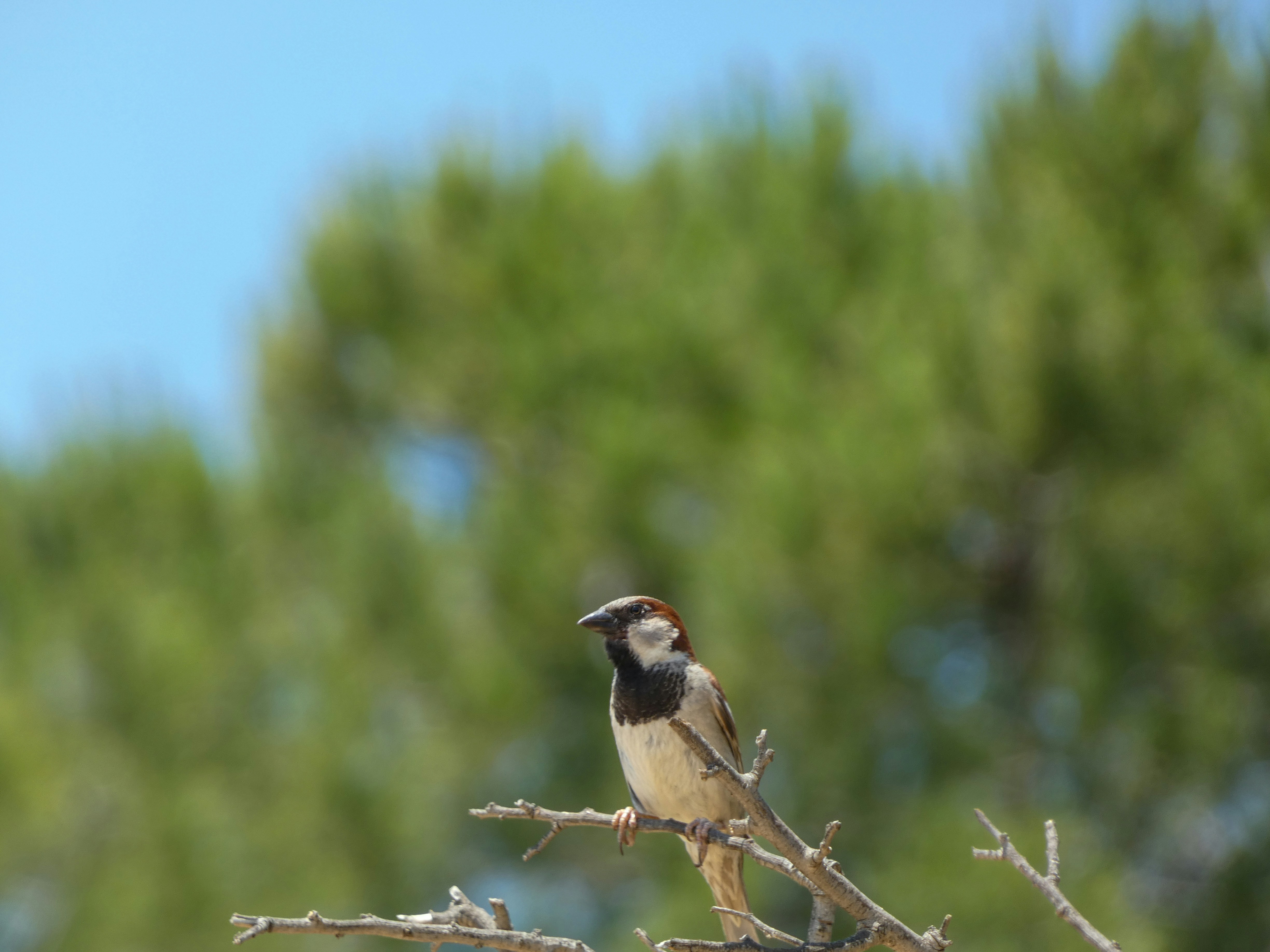 Photo by onderandinc