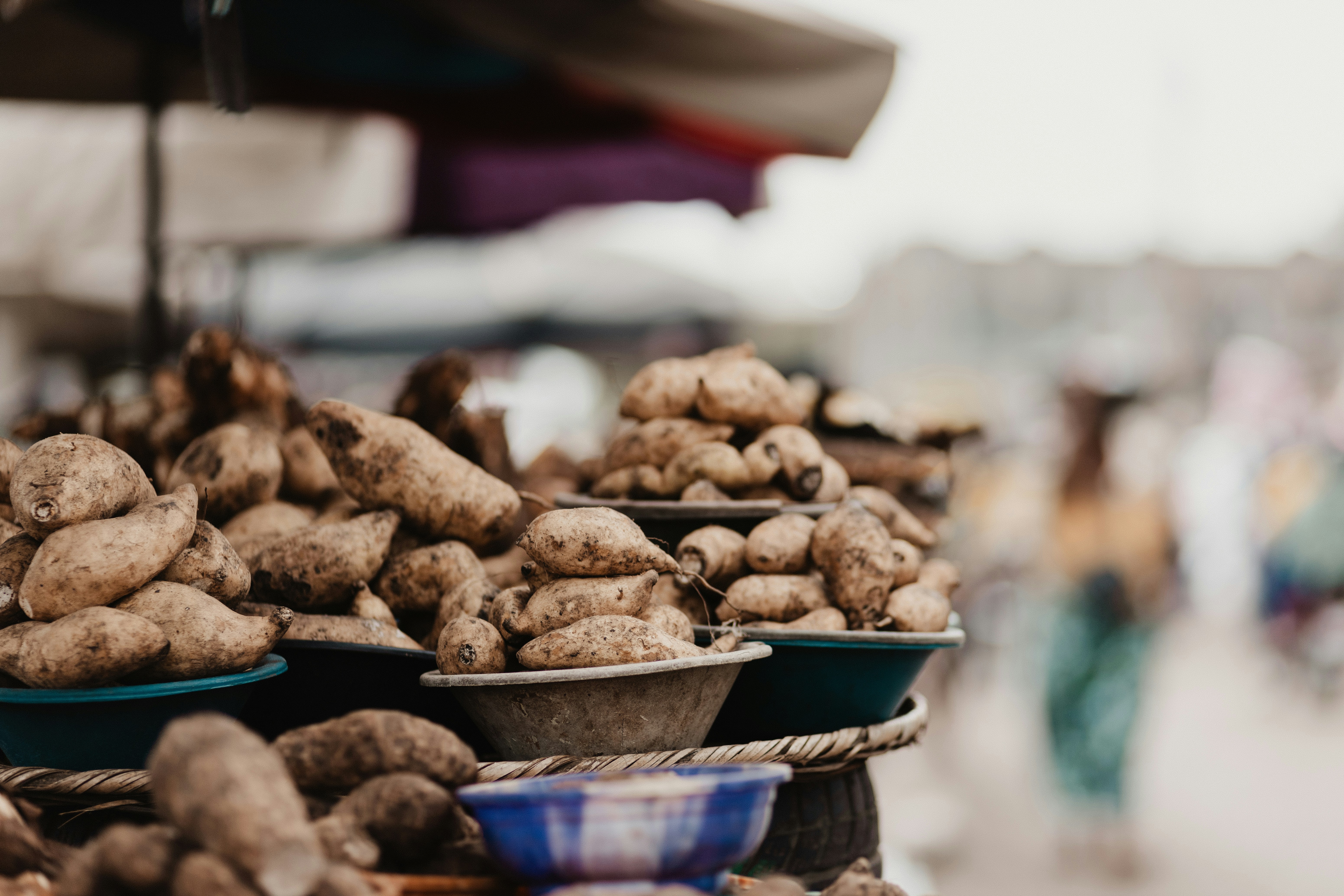 Sweet potatoes are displayed at a market stall.