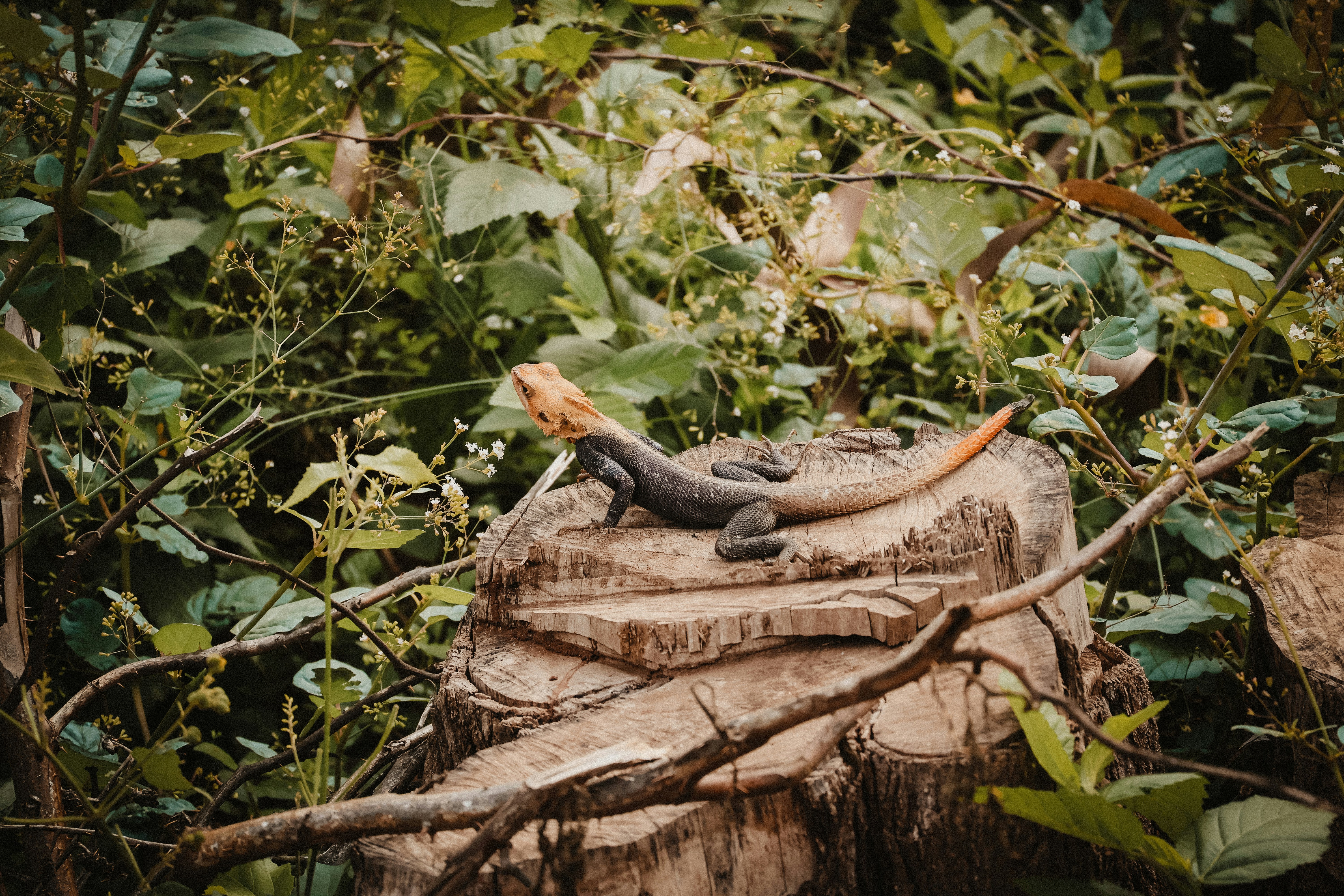 Photo by greg_keelen