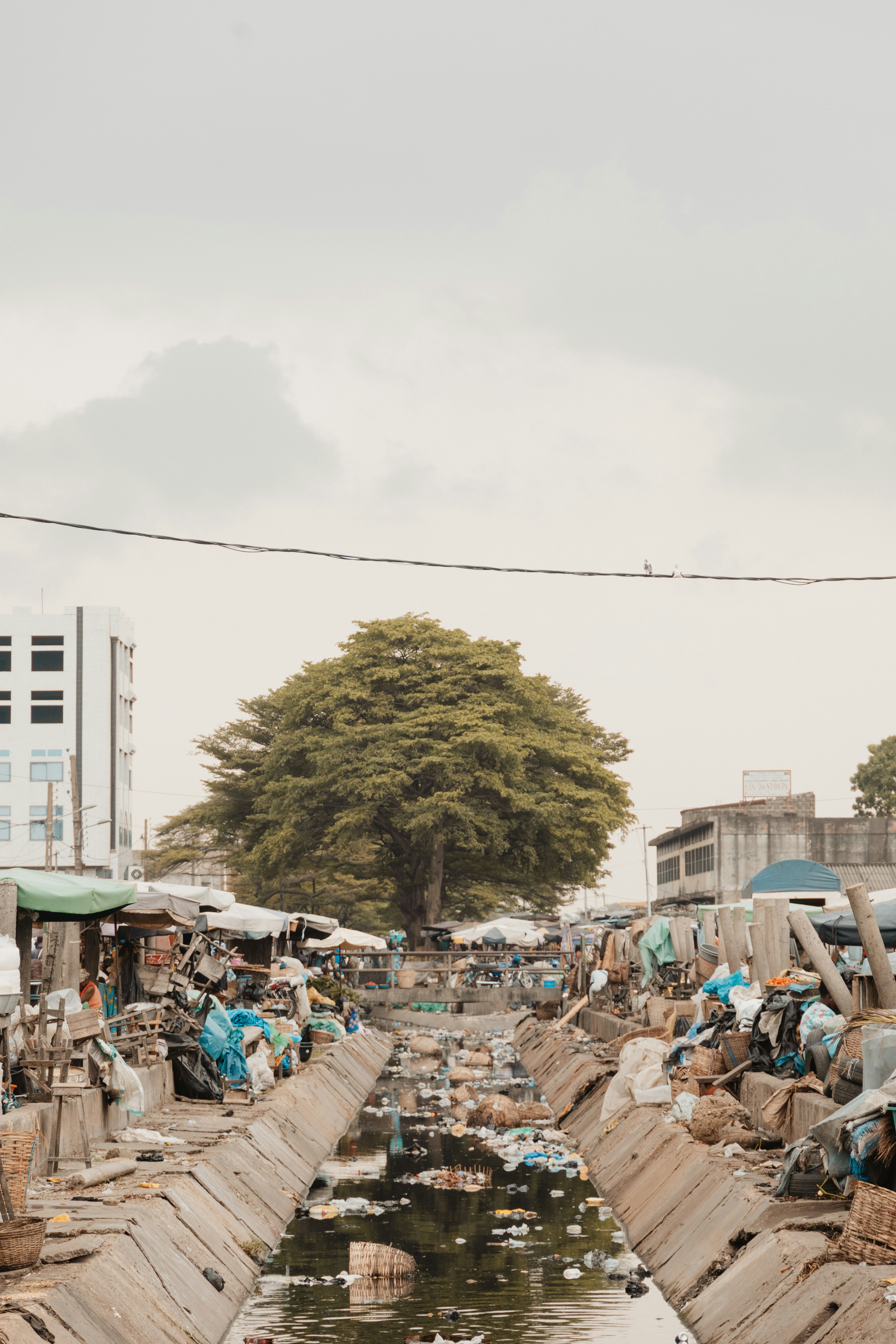 Photo by greg_keelen