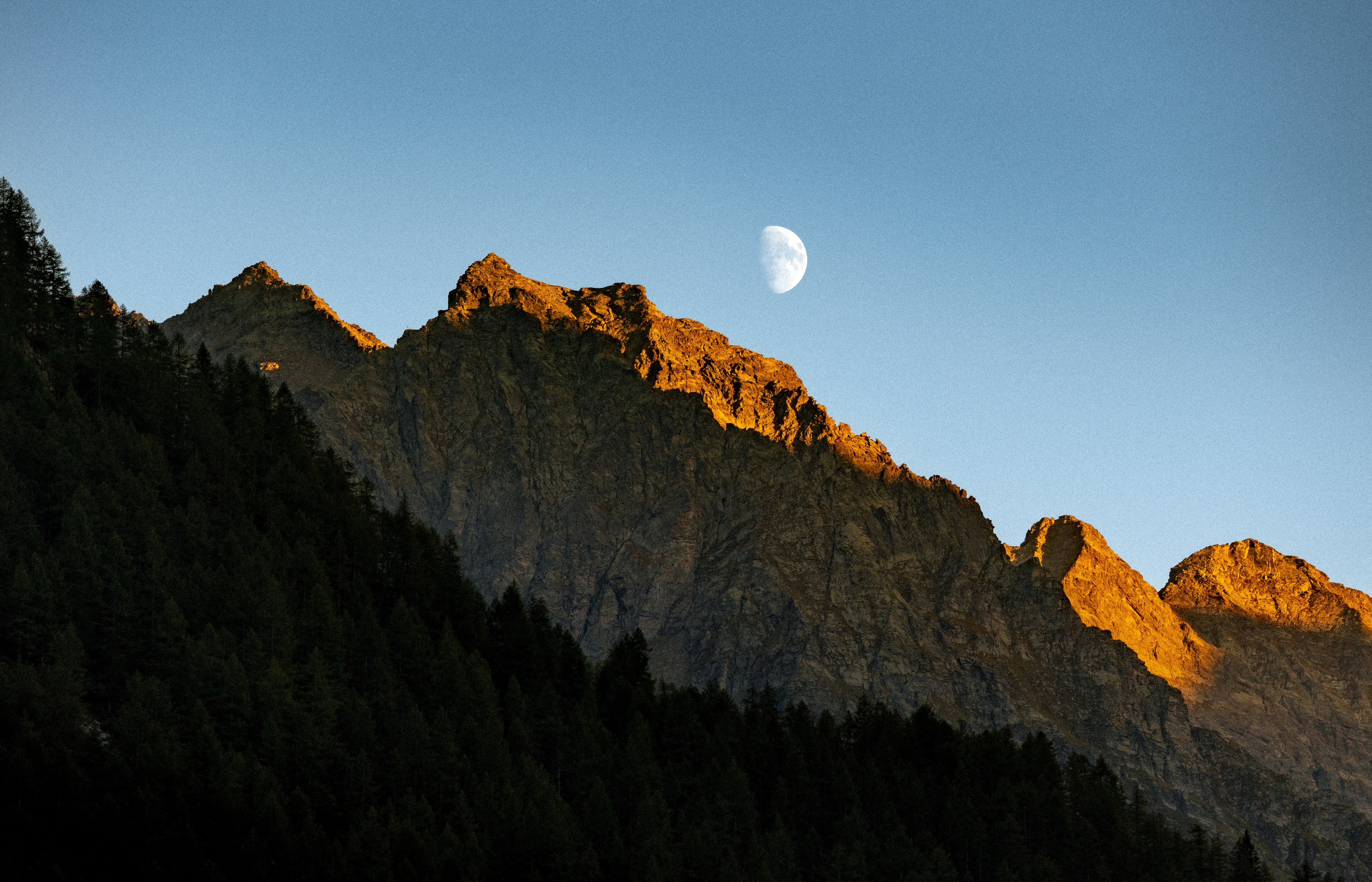 Learn About The Transformative Effects Of Christian Education And Learning And Just How It Develops Both Minds And Hearts; Investigate Its Special Methods And Significant Advantages Within