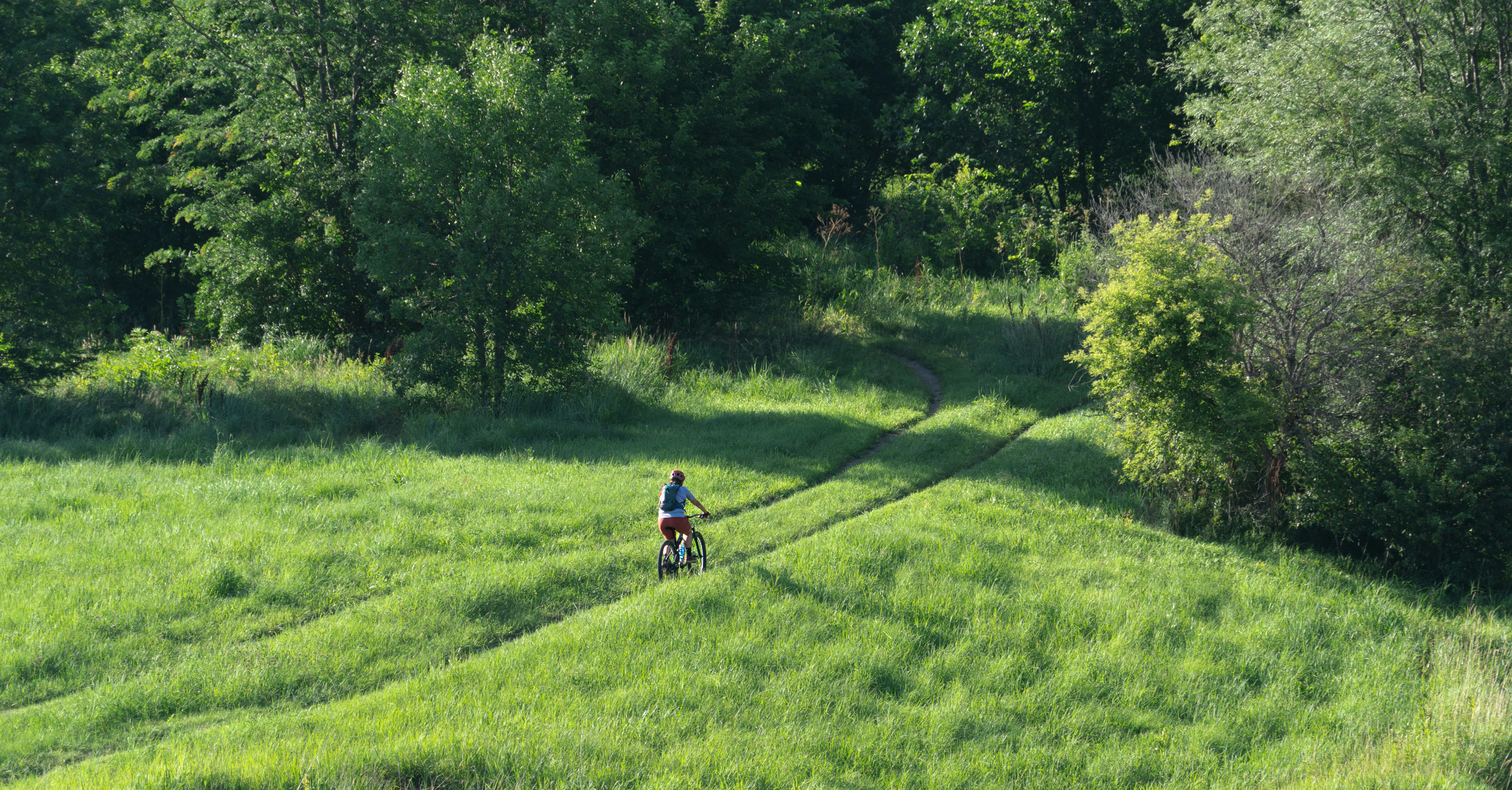 All About Waskosim’s Rock