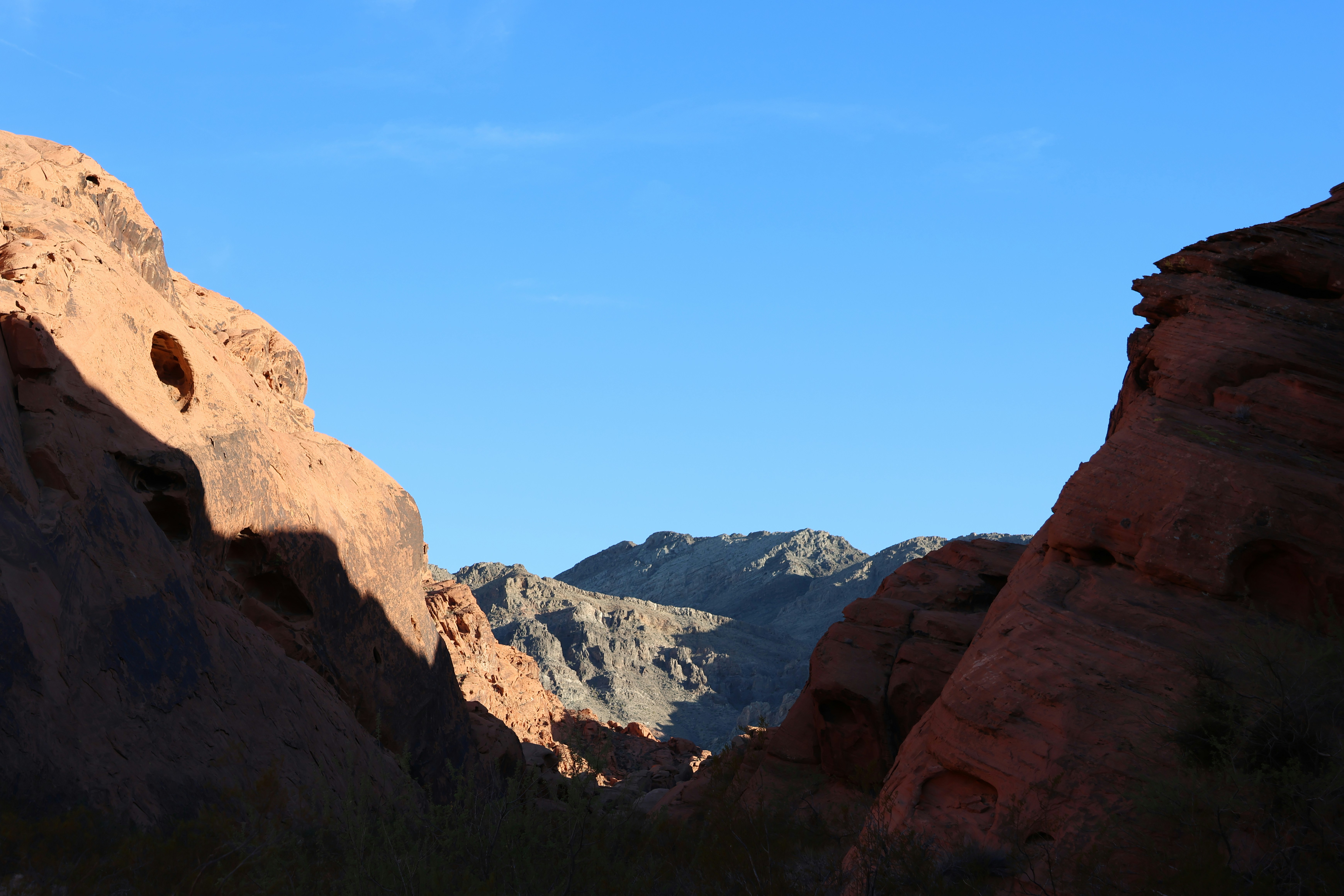 Photo by cornthechicken