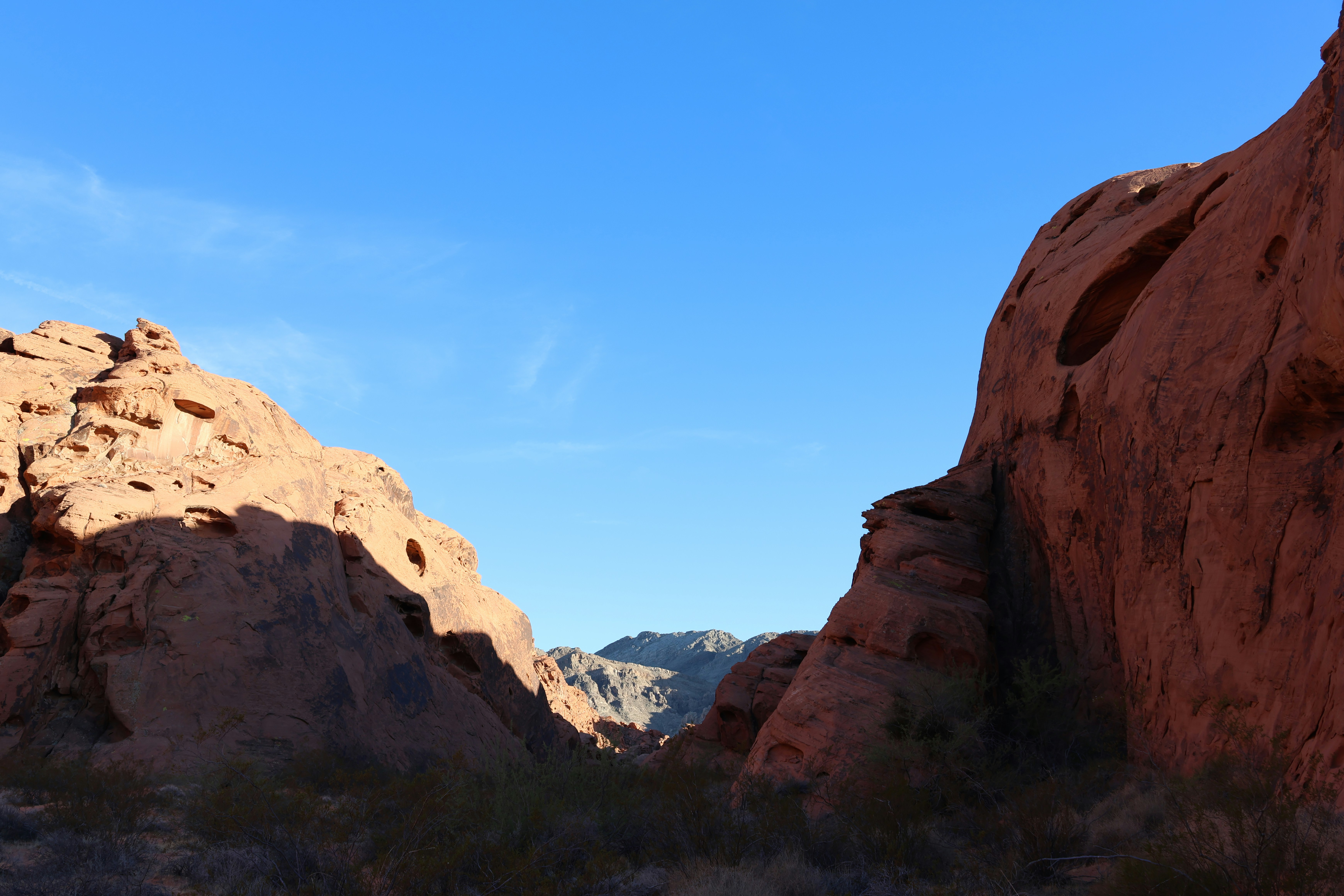 Photo by cornthechicken