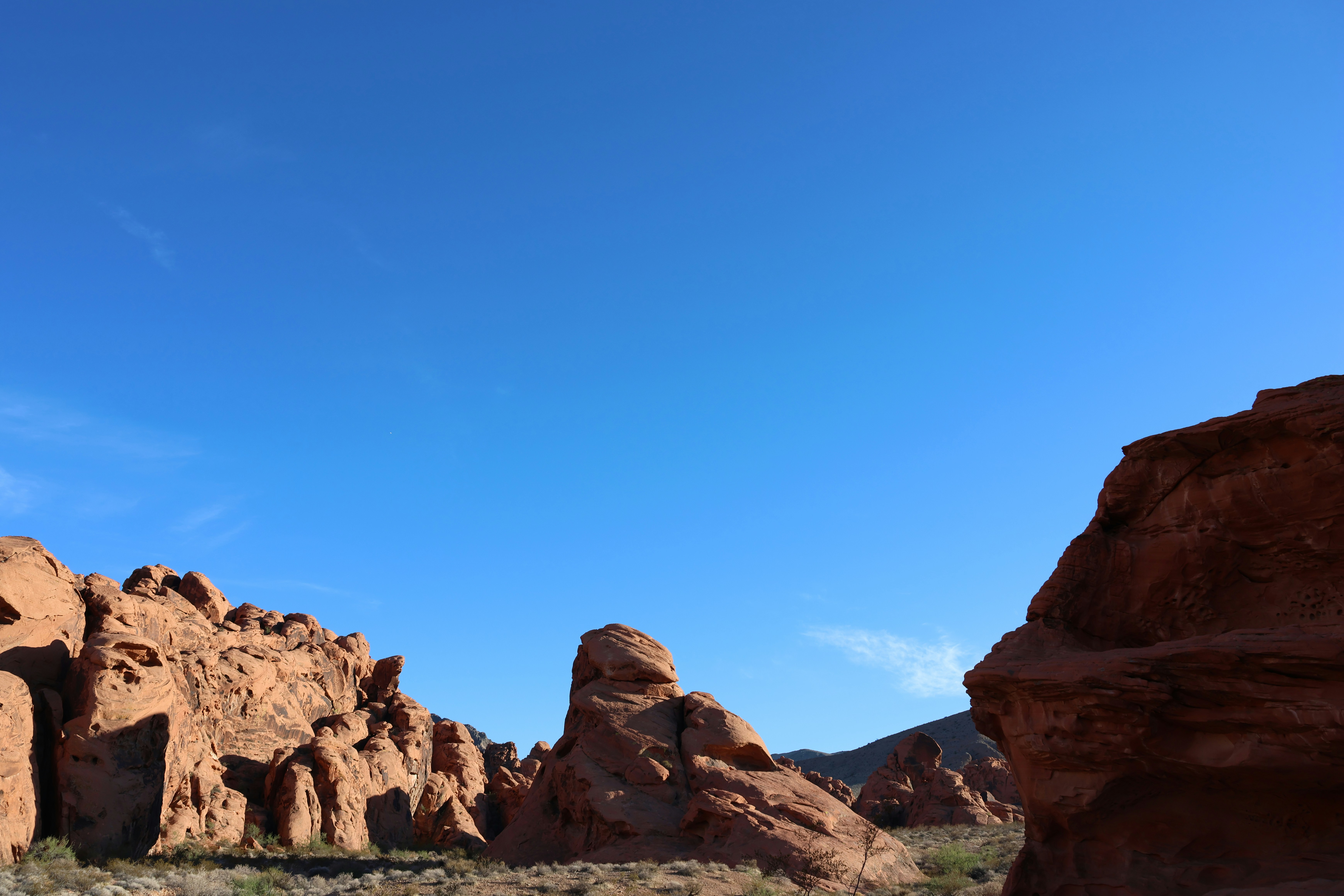 Photo by cornthechicken