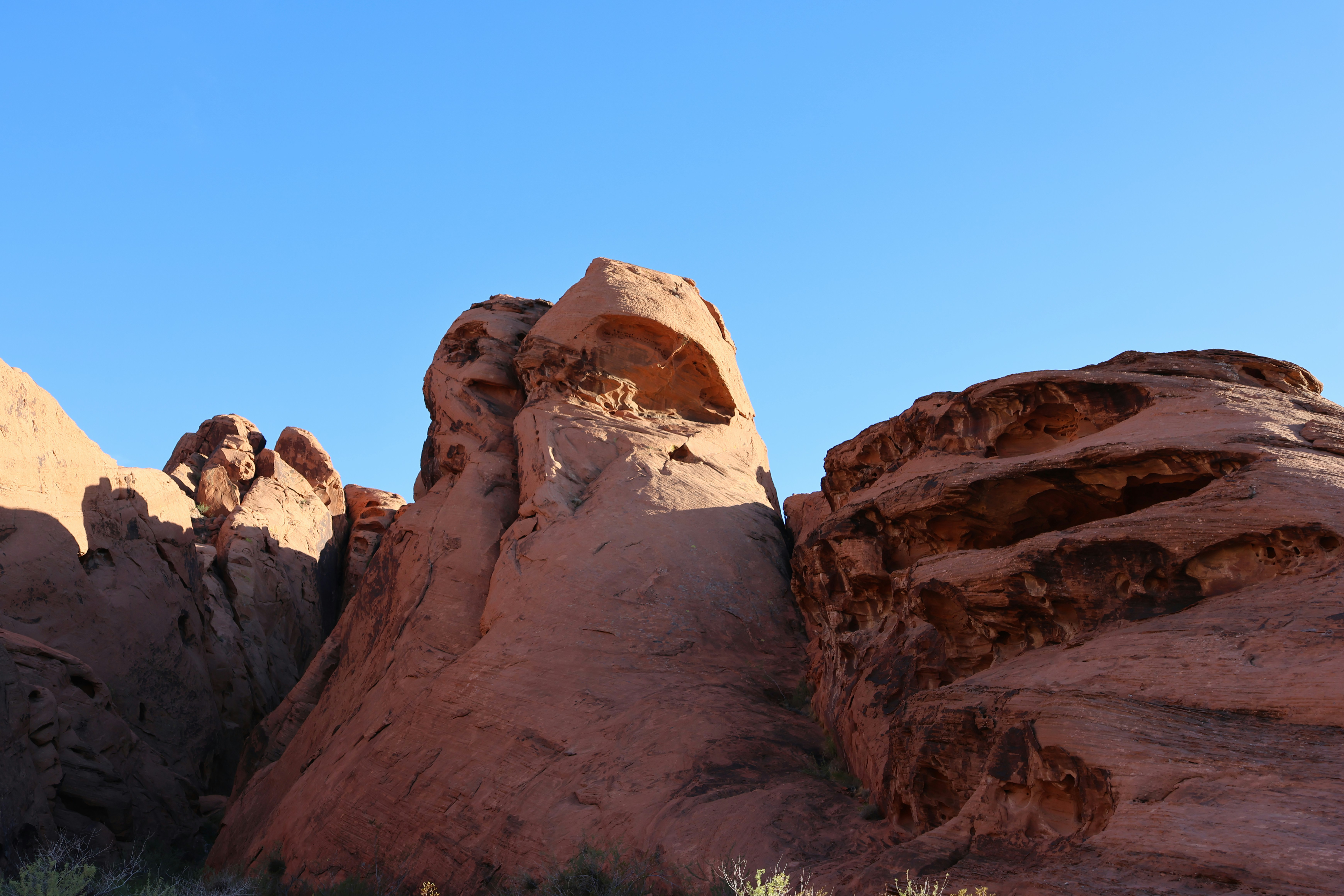 Photo by cornthechicken