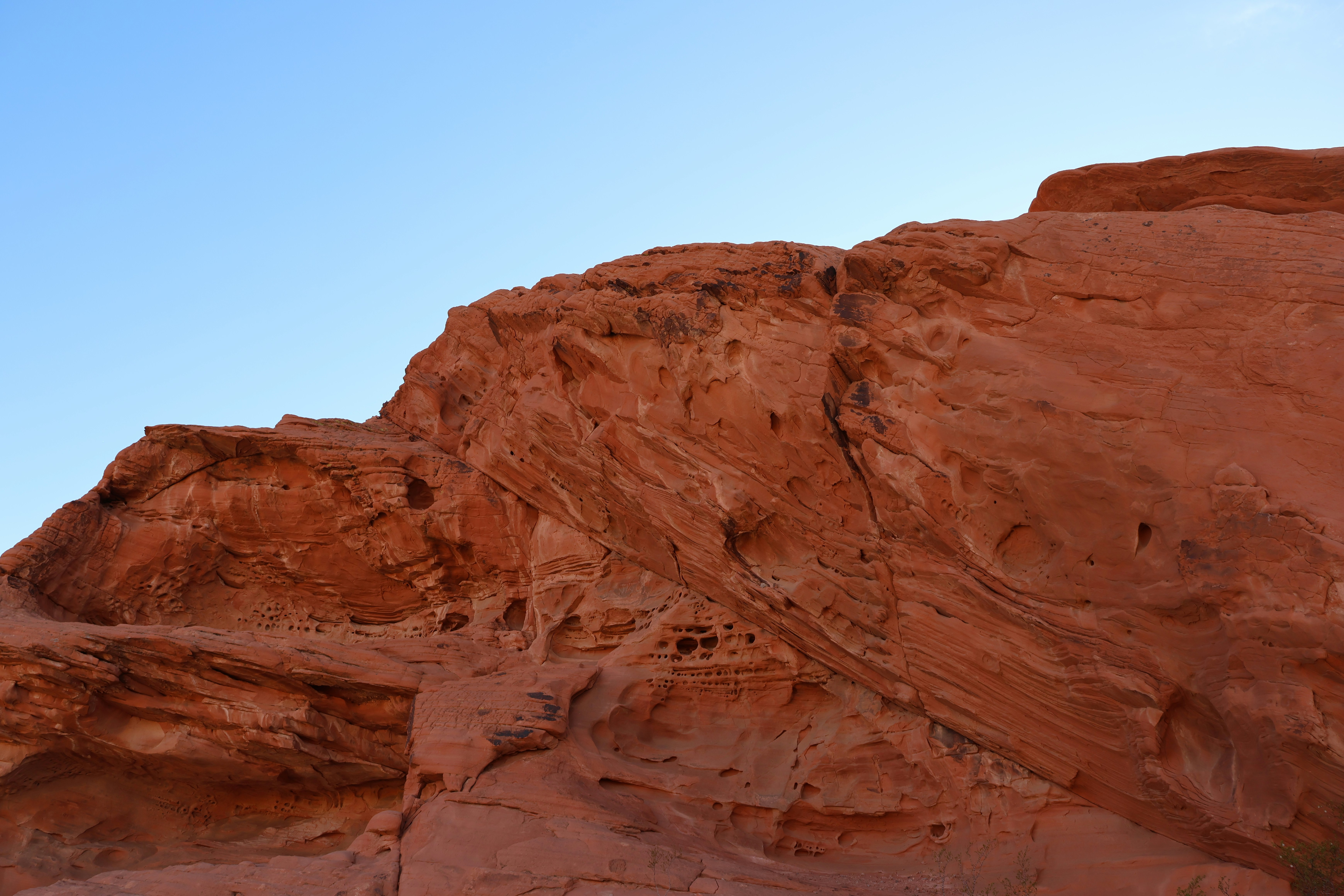 Photo by cornthechicken