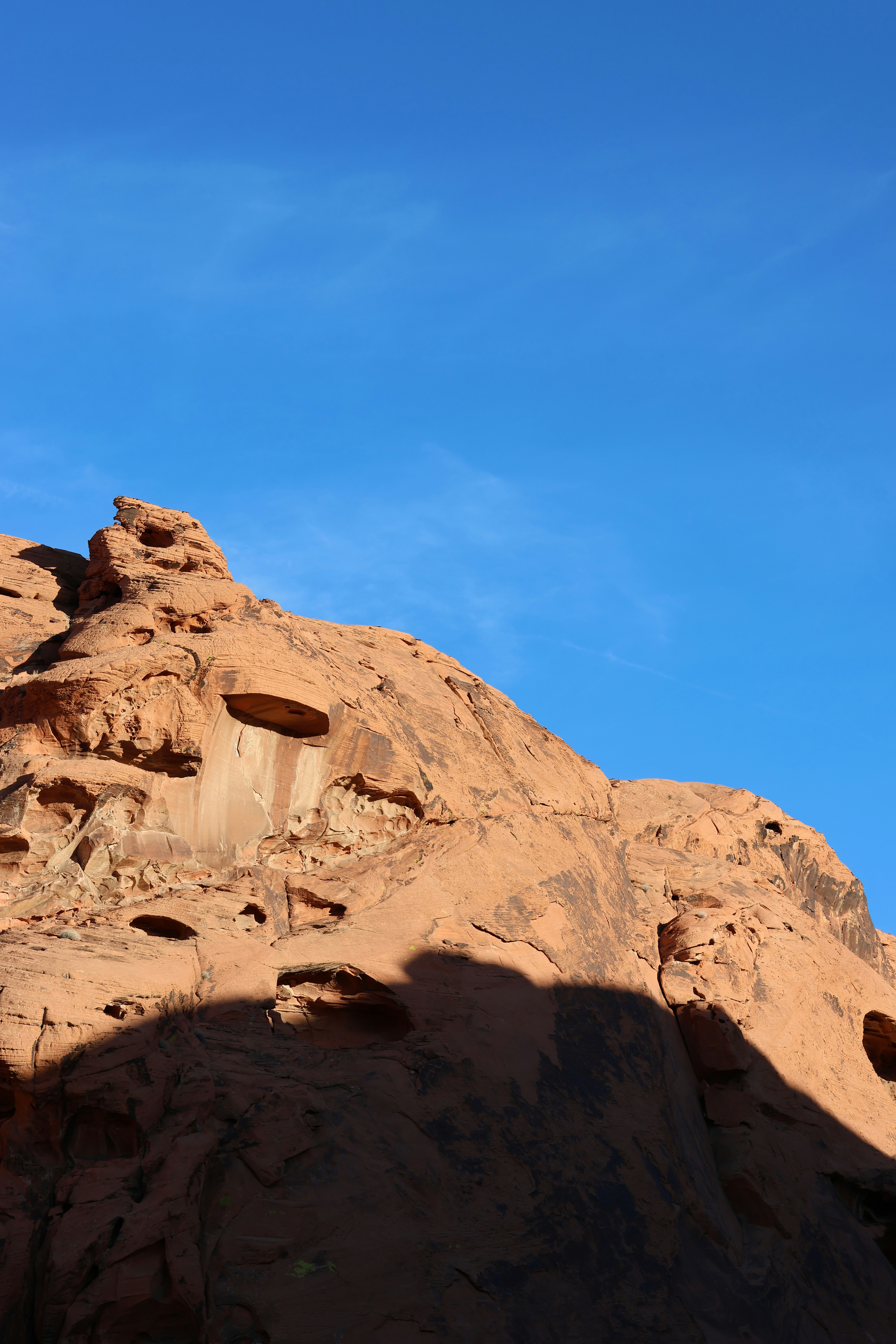 Photo by cornthechicken