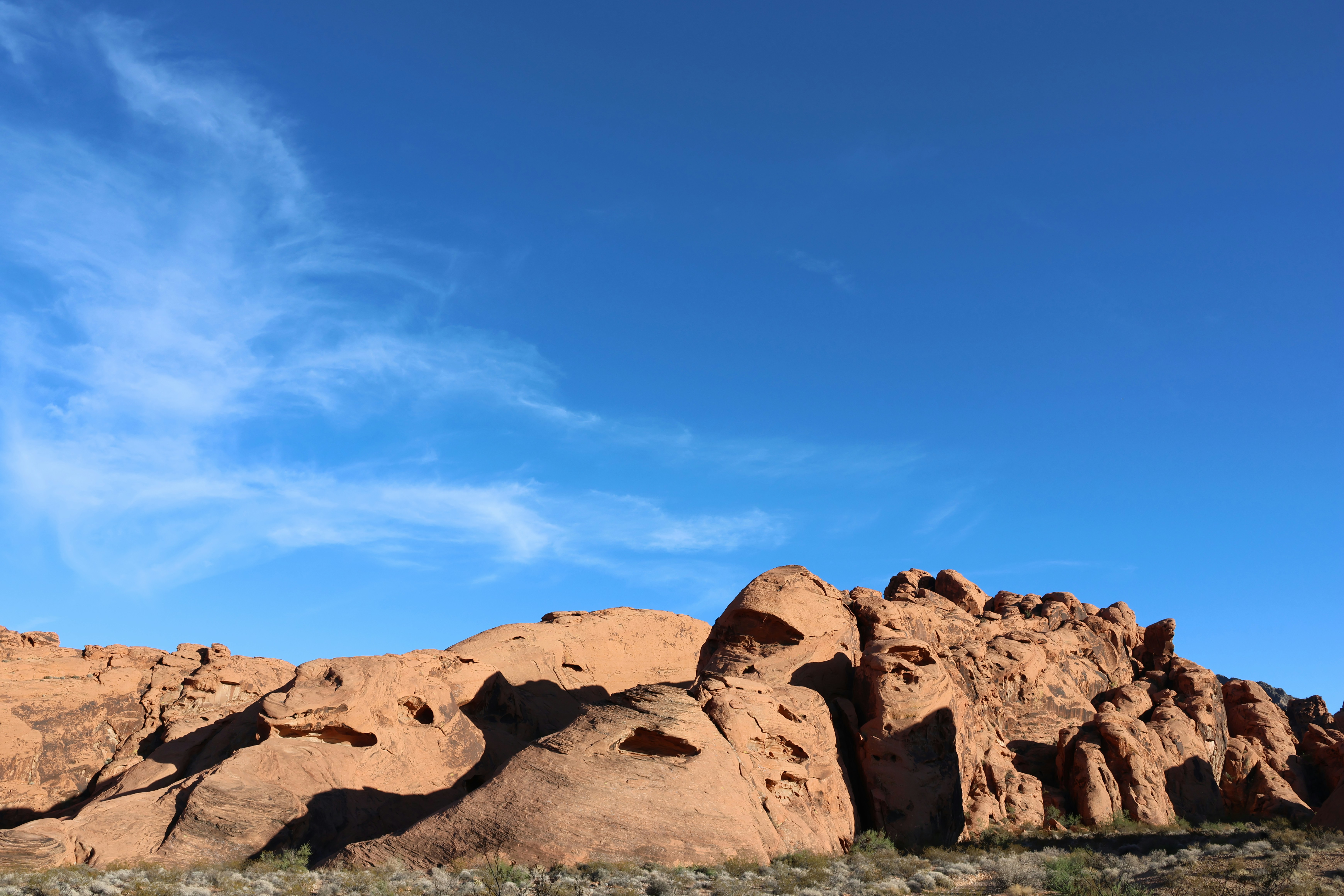 Photo by cornthechicken