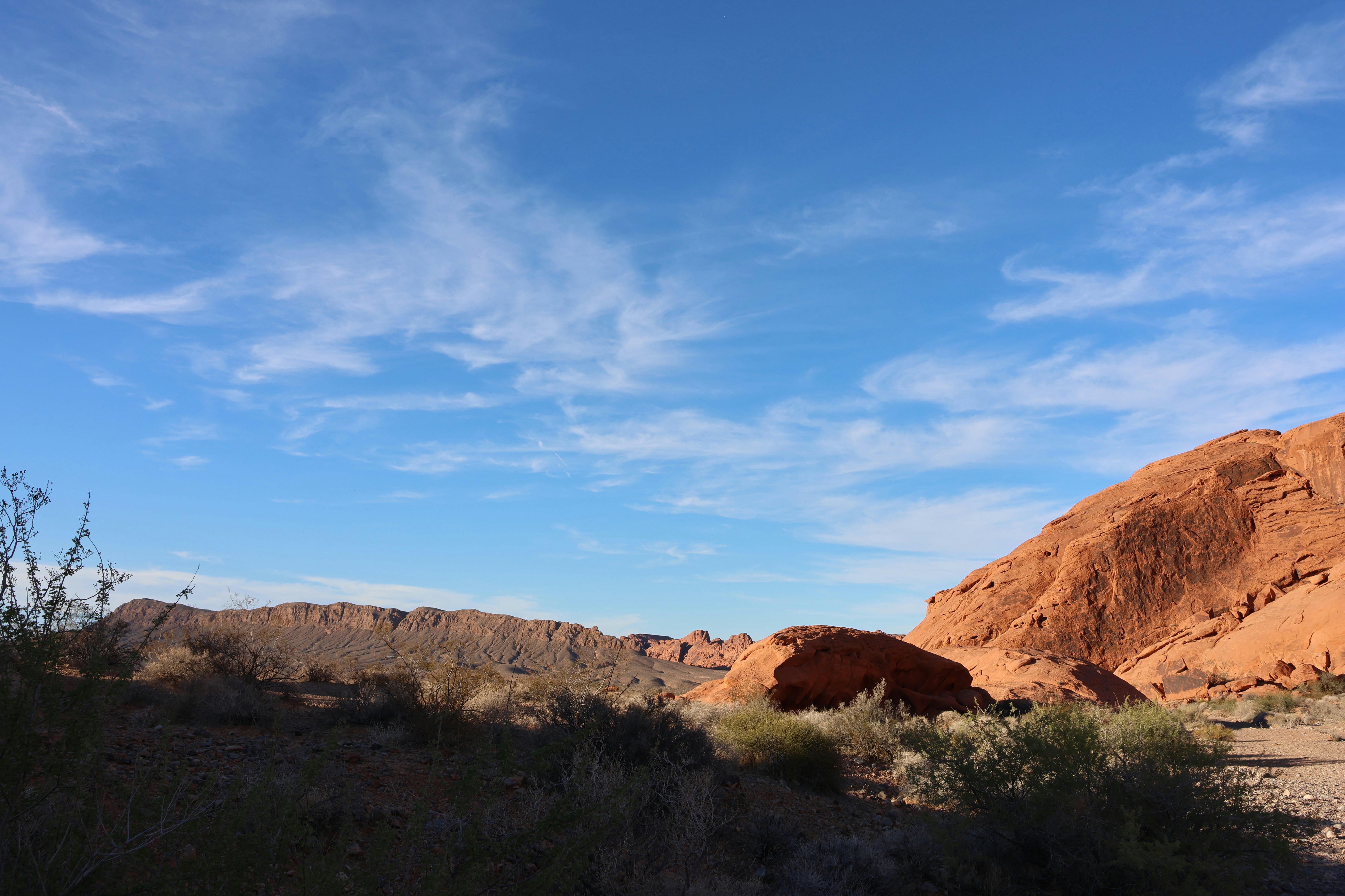 Photo by cornthechicken