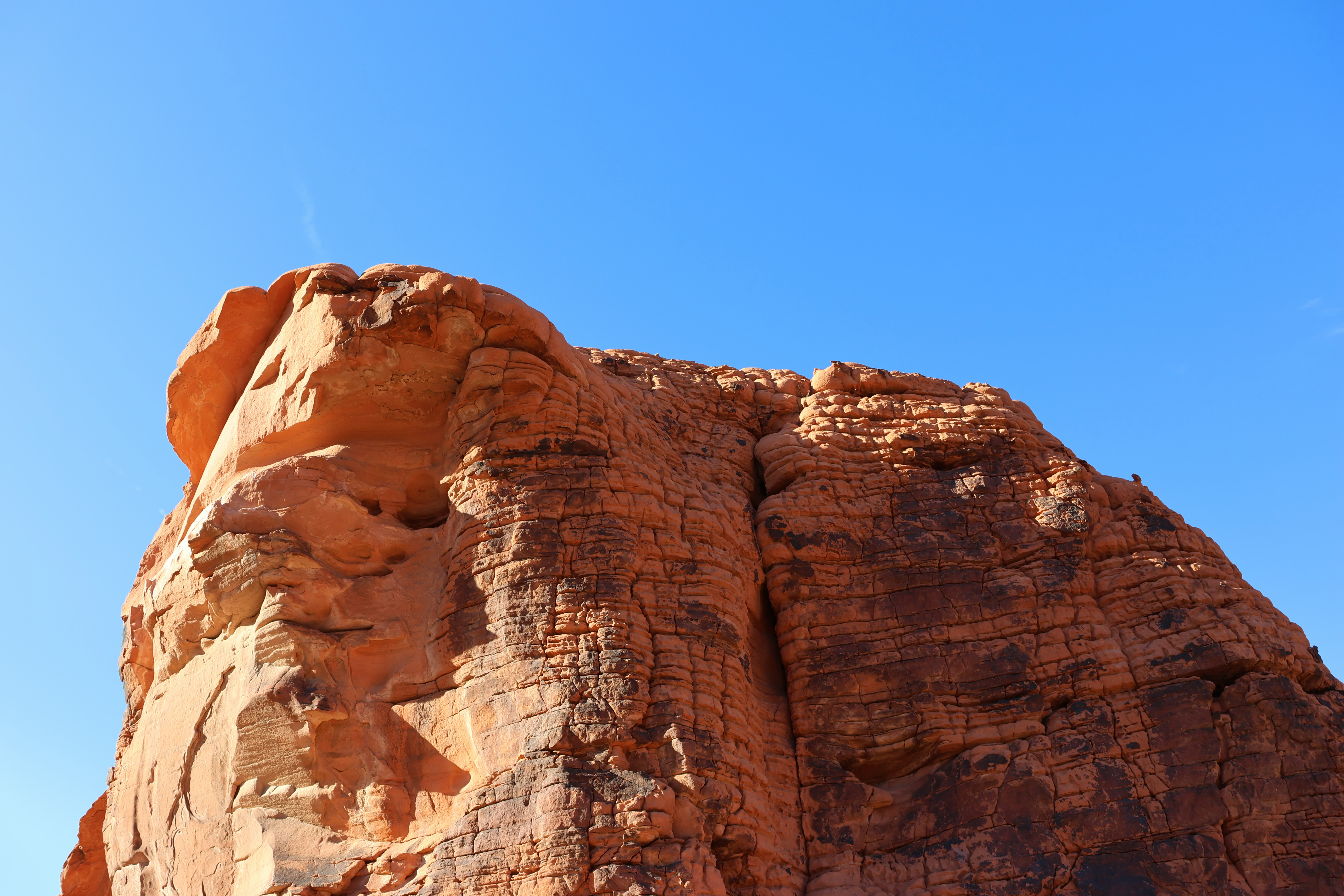 Photo by cornthechicken