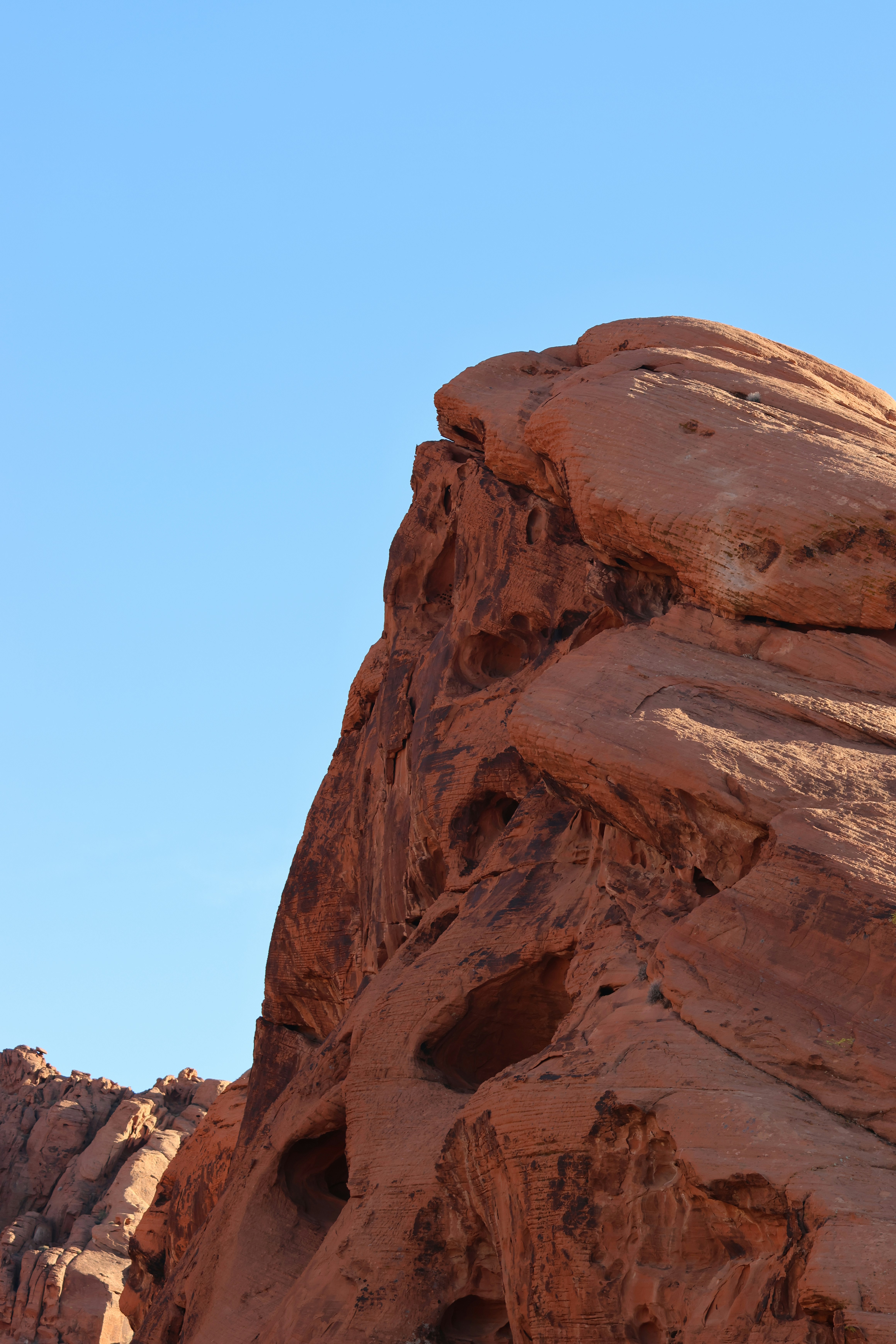 Photo by cornthechicken