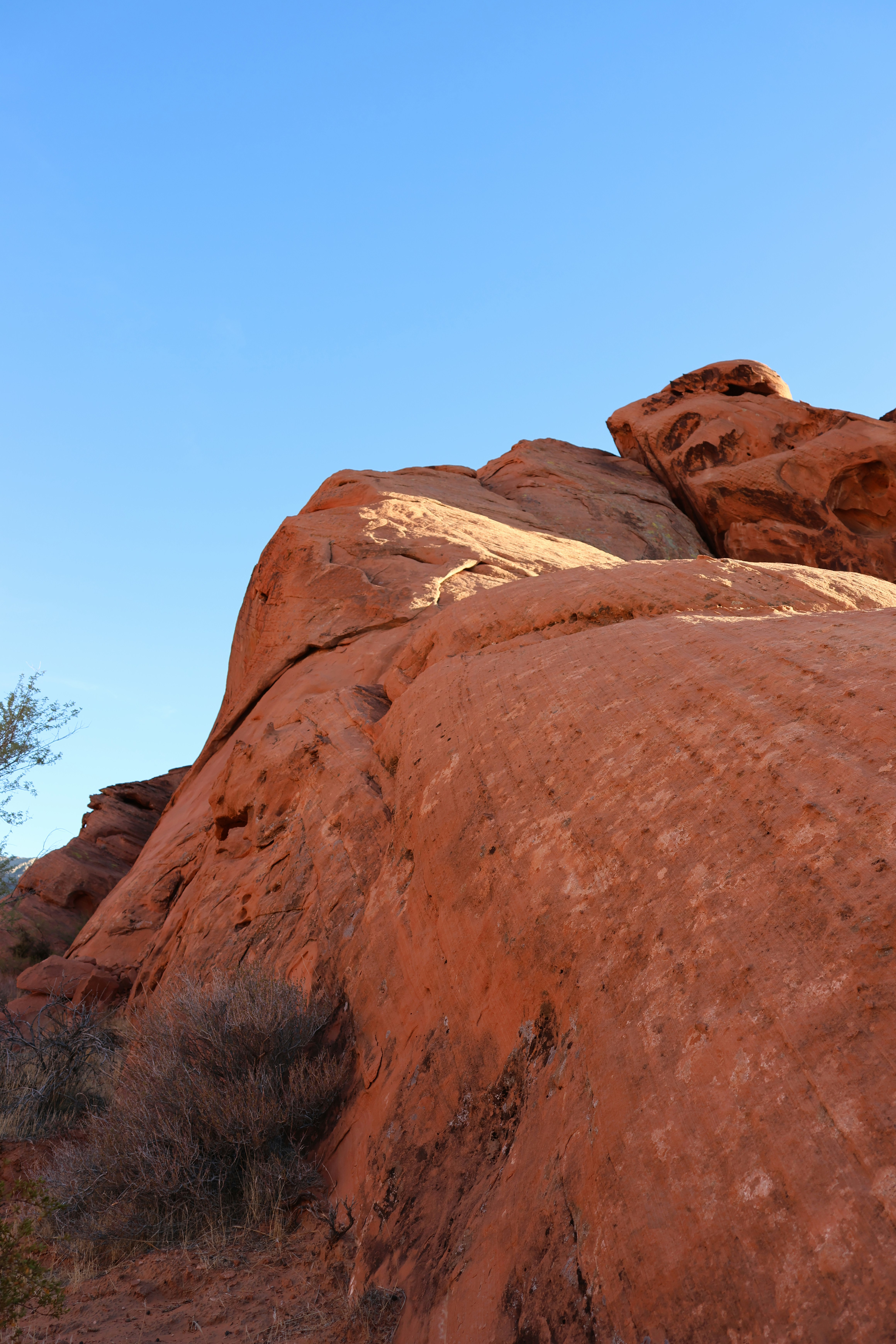 Photo by cornthechicken