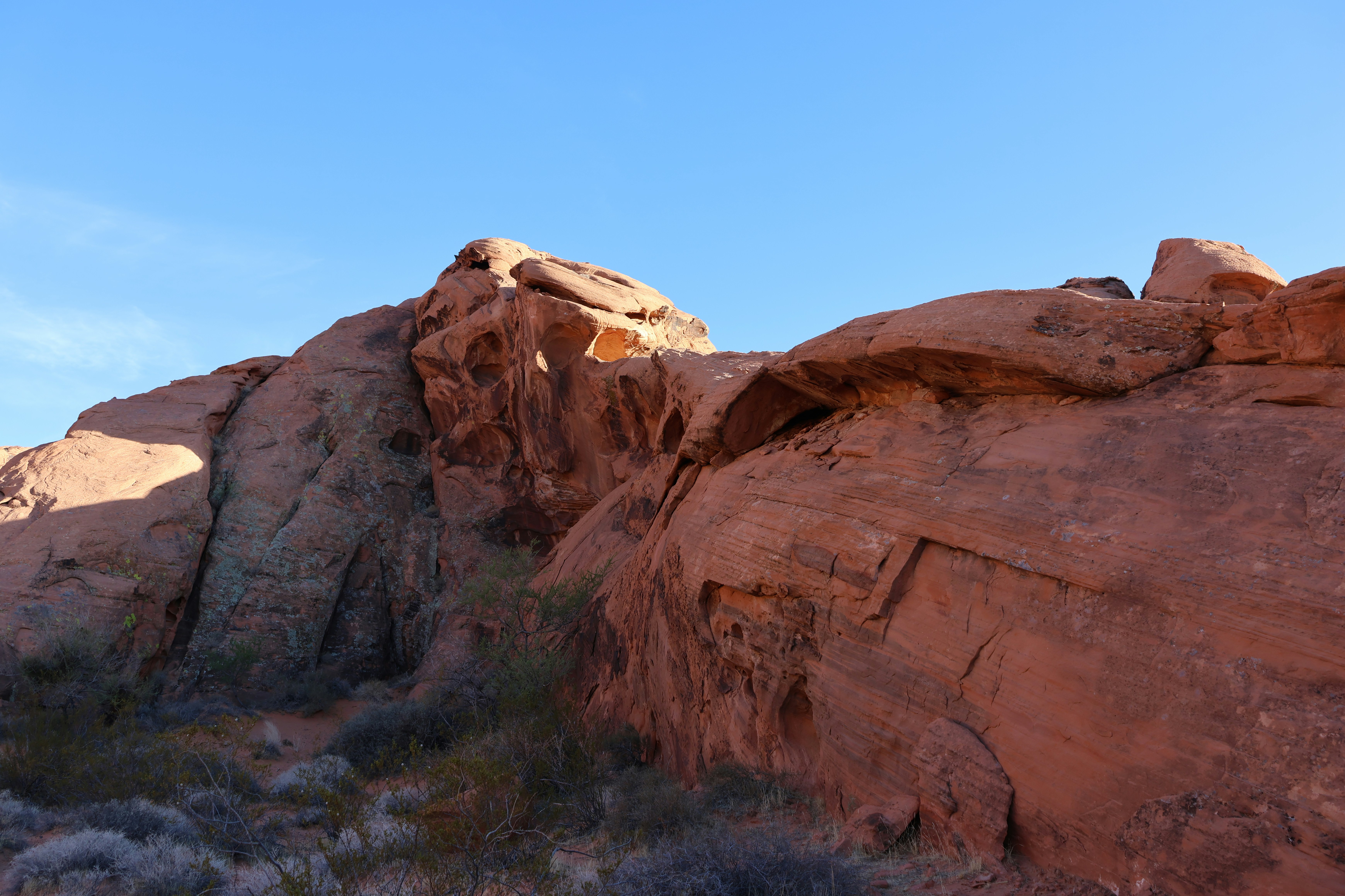 Photo by cornthechicken