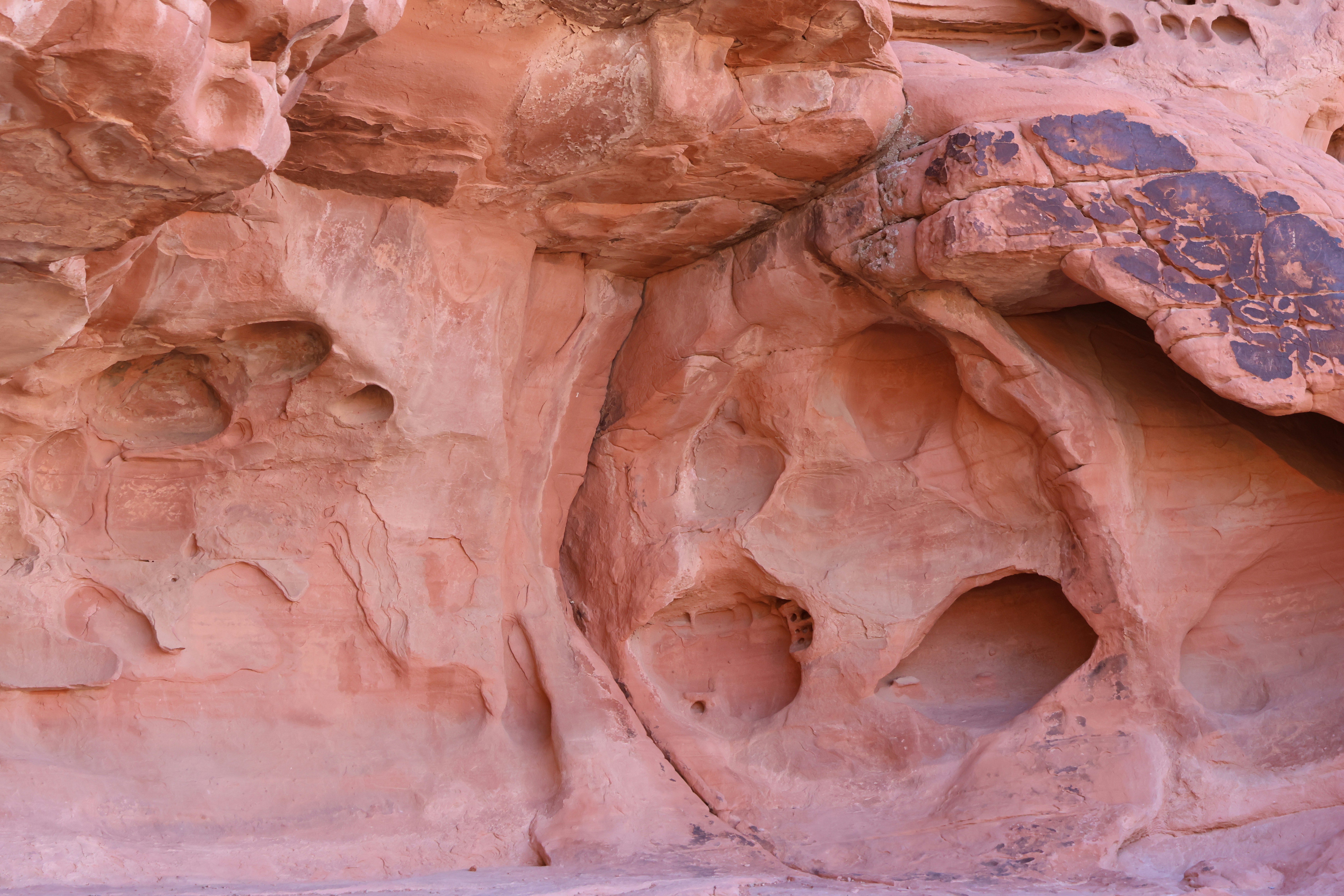 Photo by cornthechicken