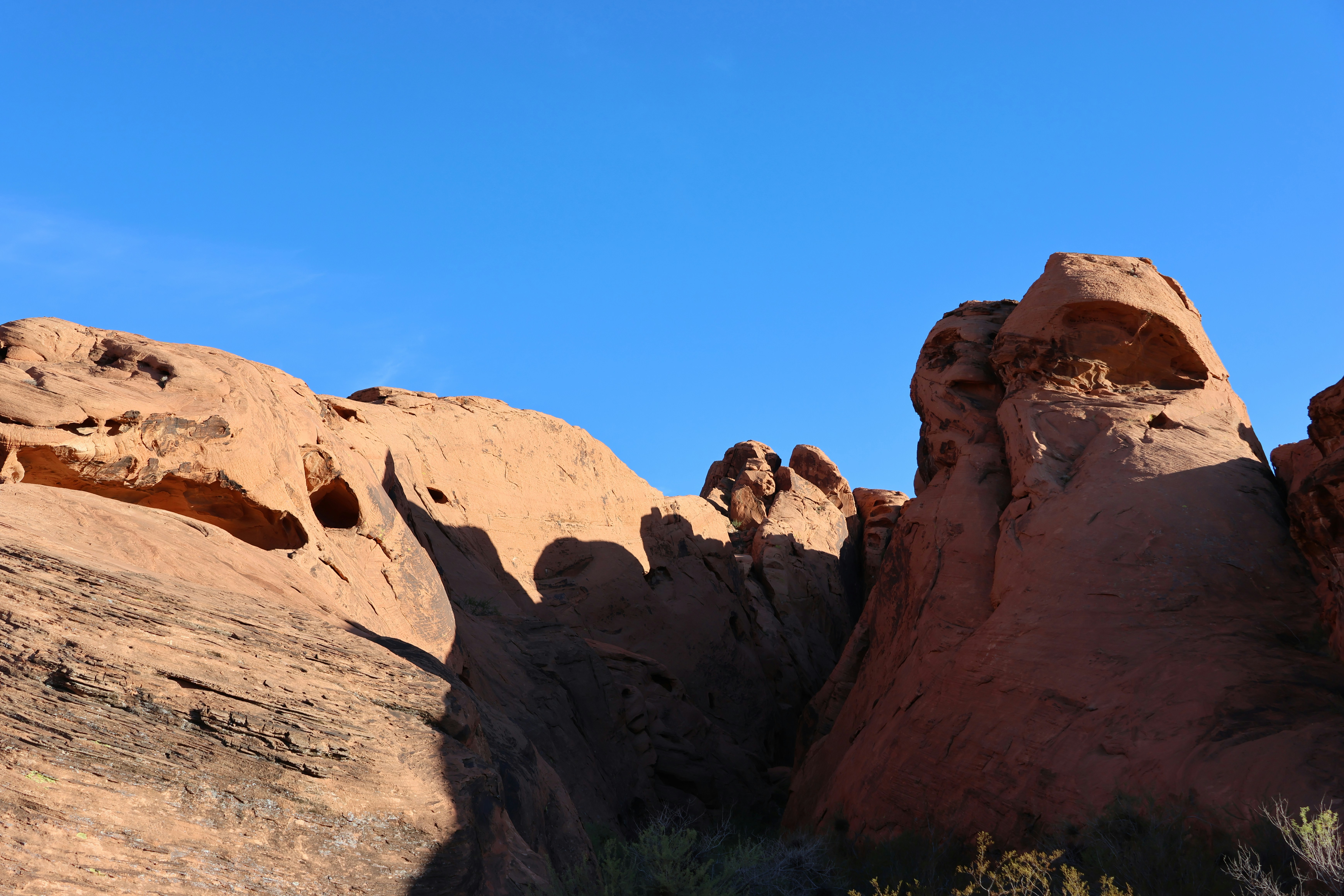 Photo by cornthechicken