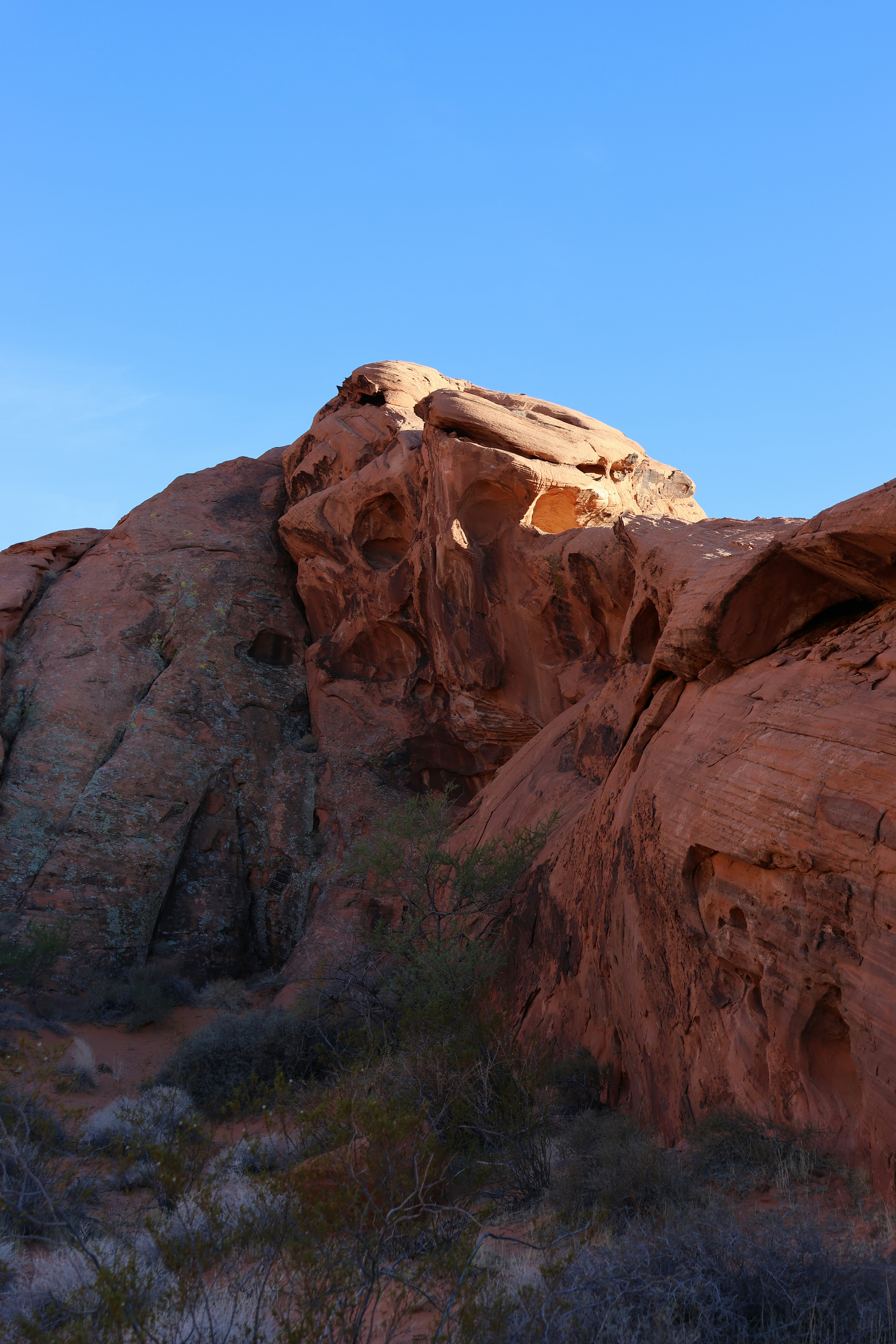 Photo by cornthechicken