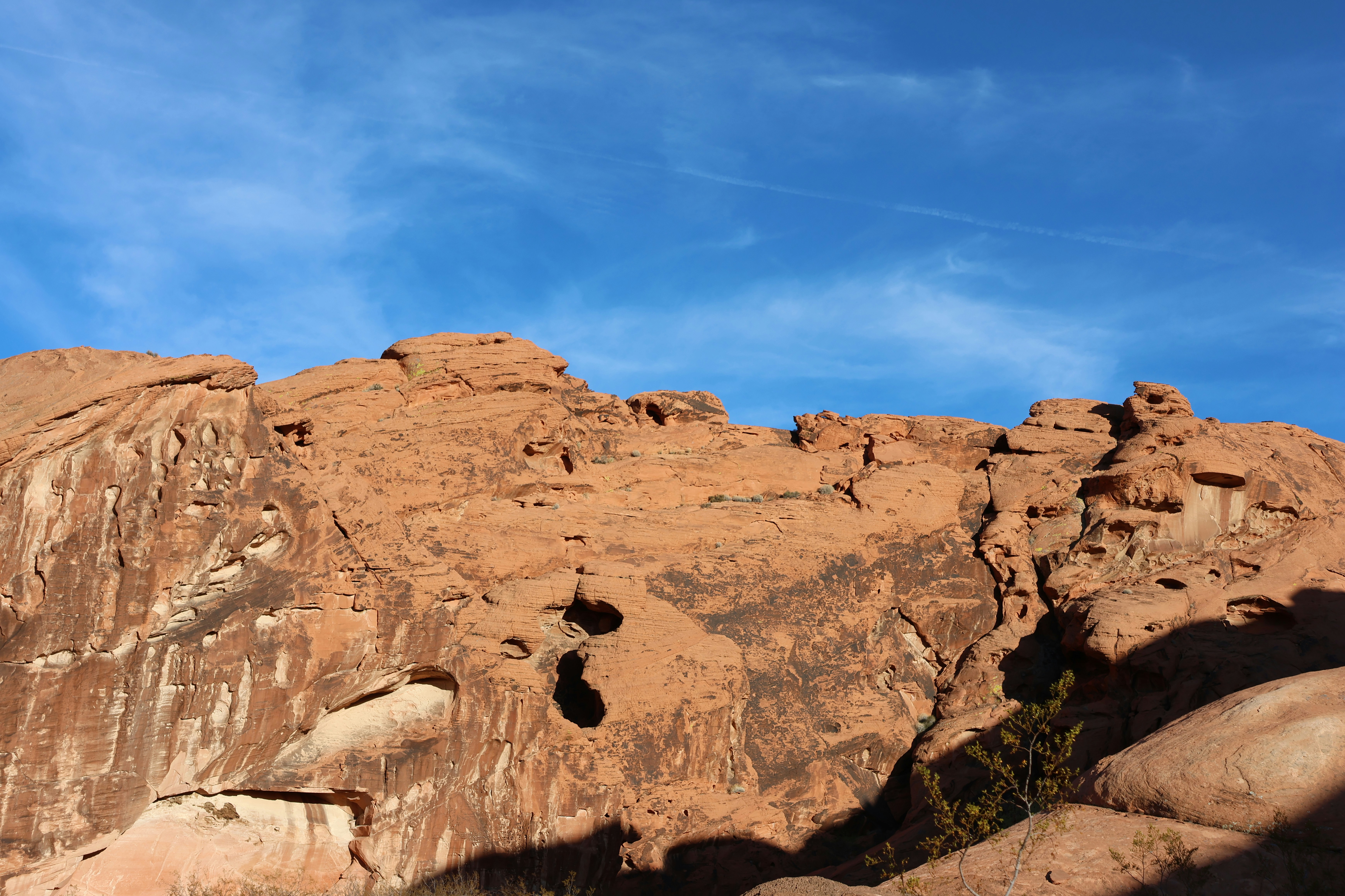 Photo by cornthechicken