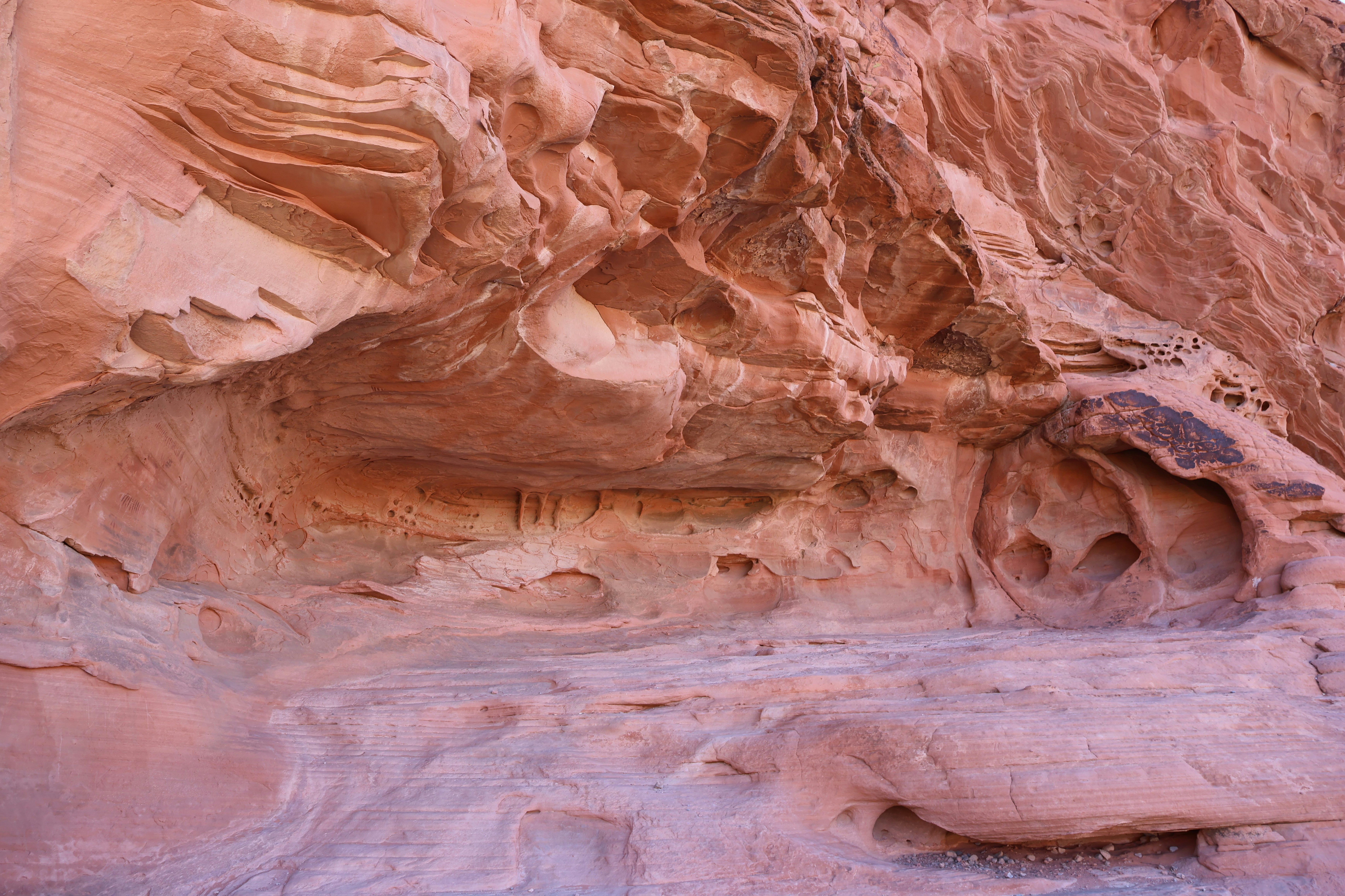 Photo by cornthechicken