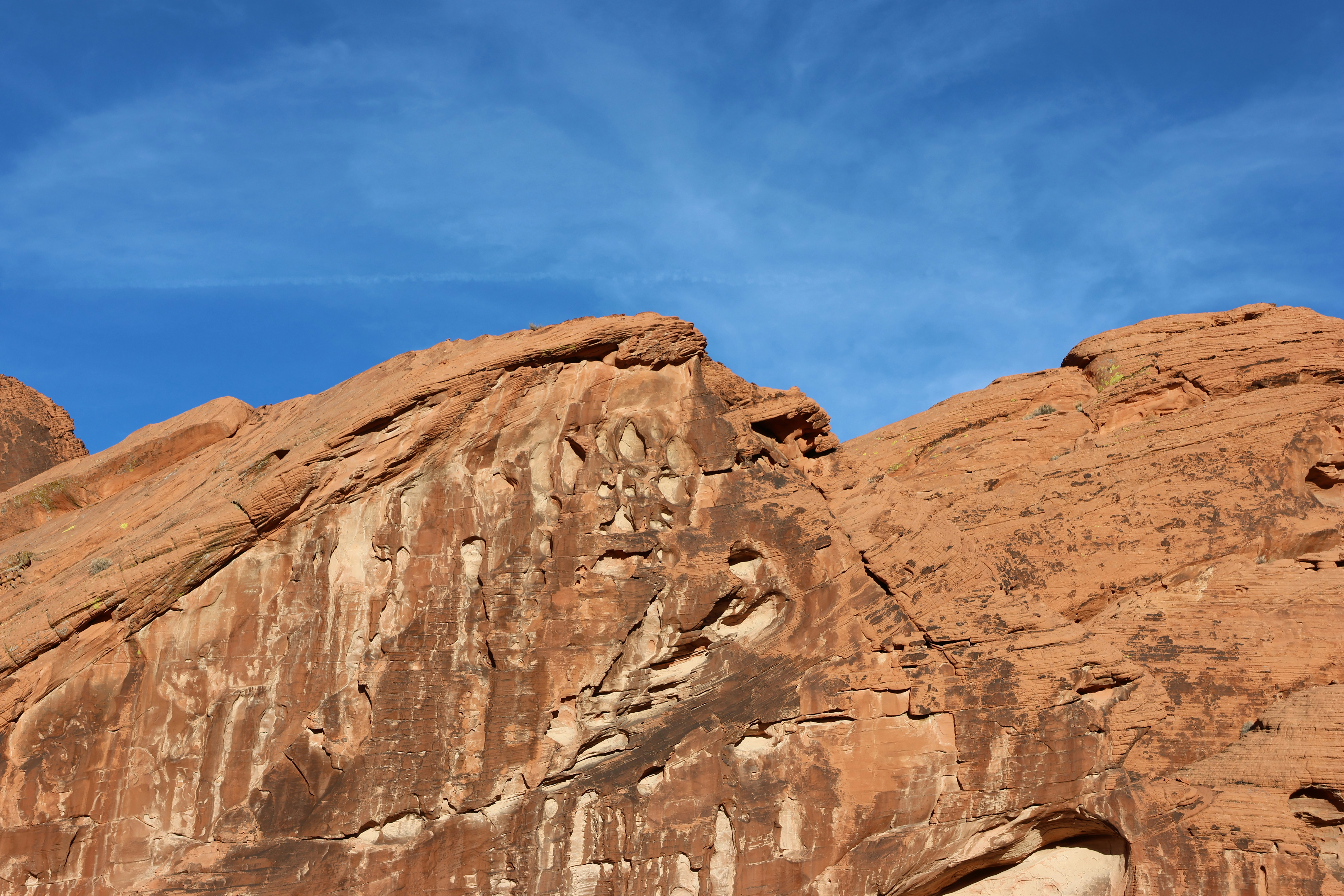 Photo by cornthechicken