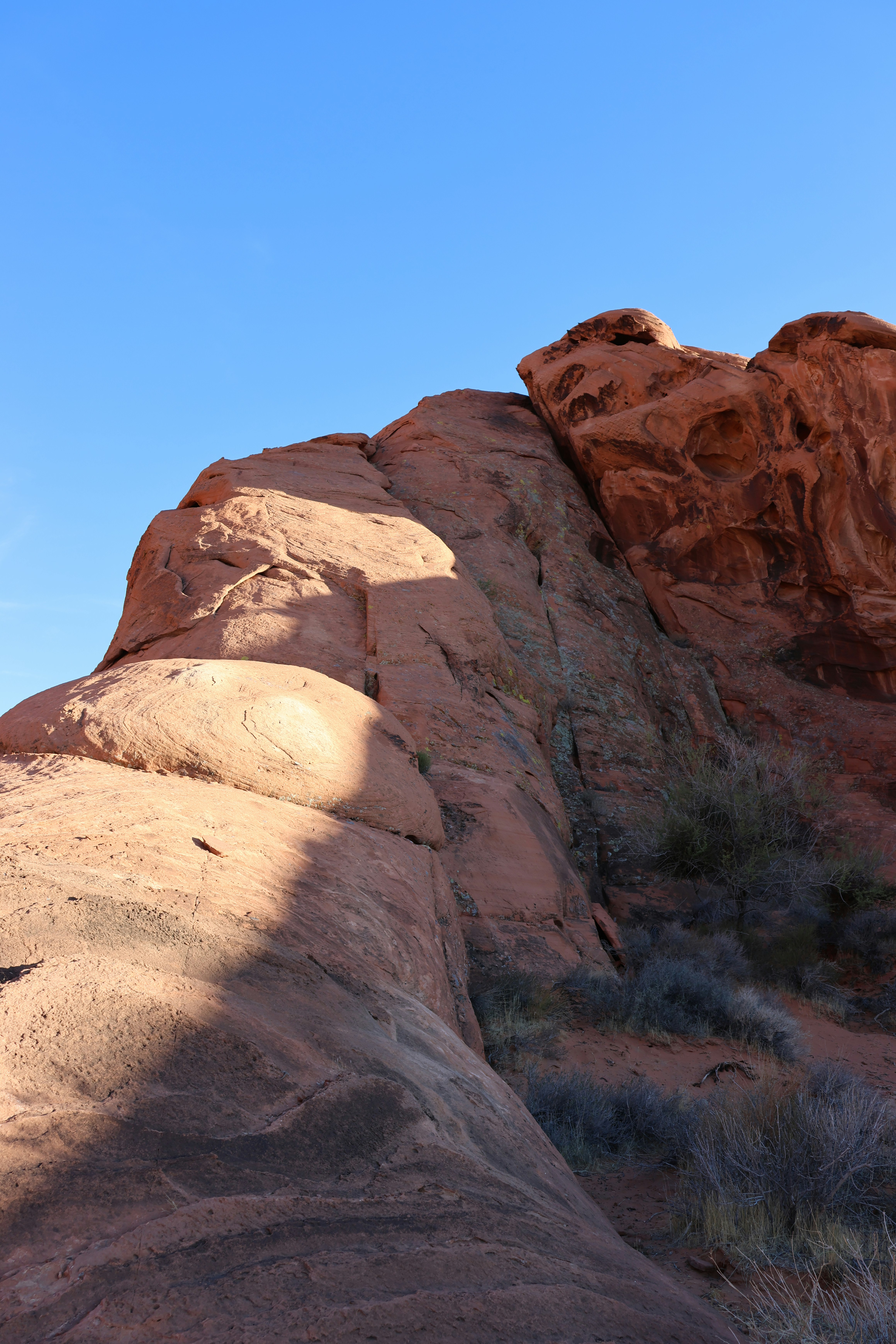 Photo by cornthechicken