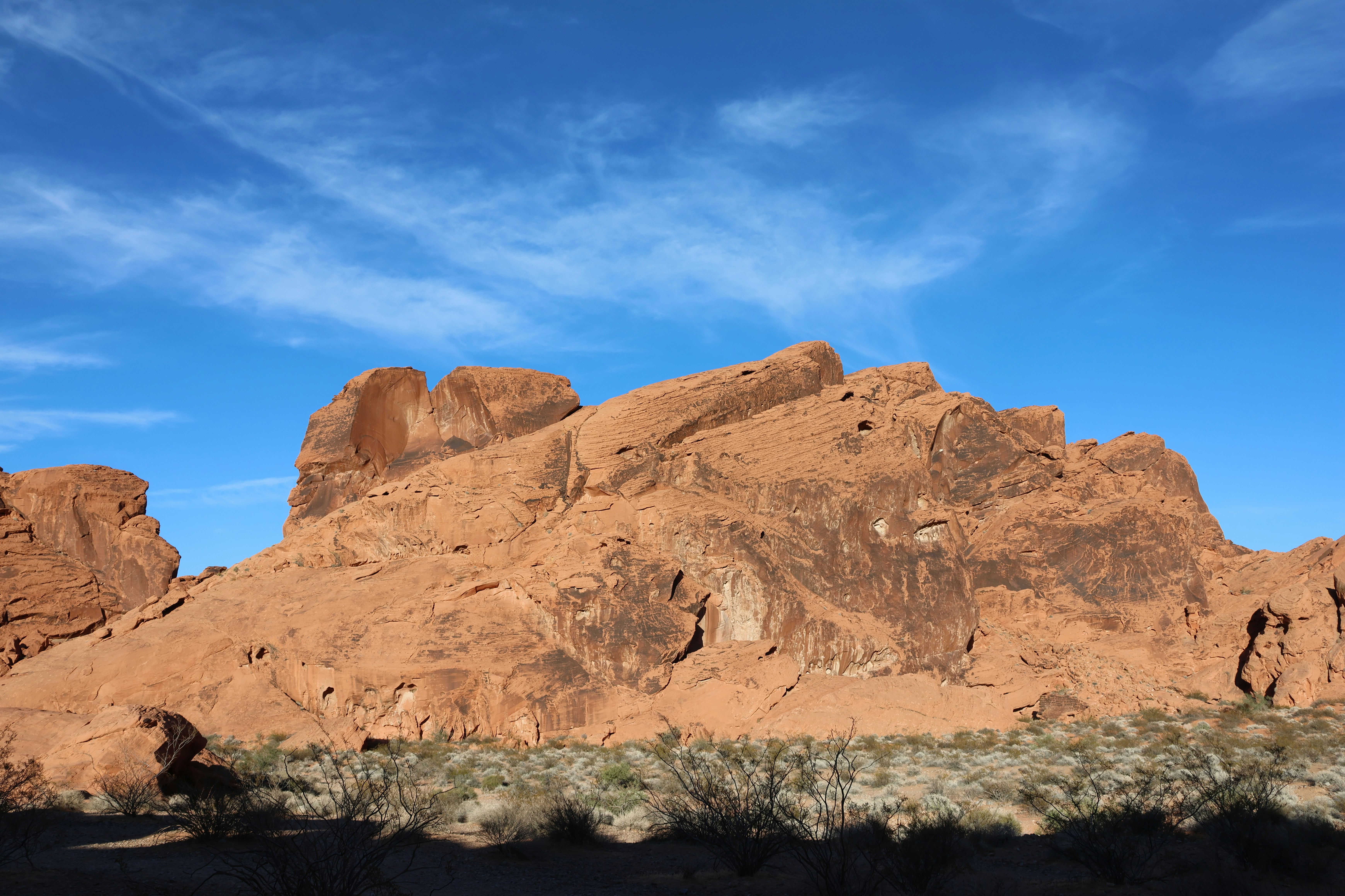 Photo by cornthechicken