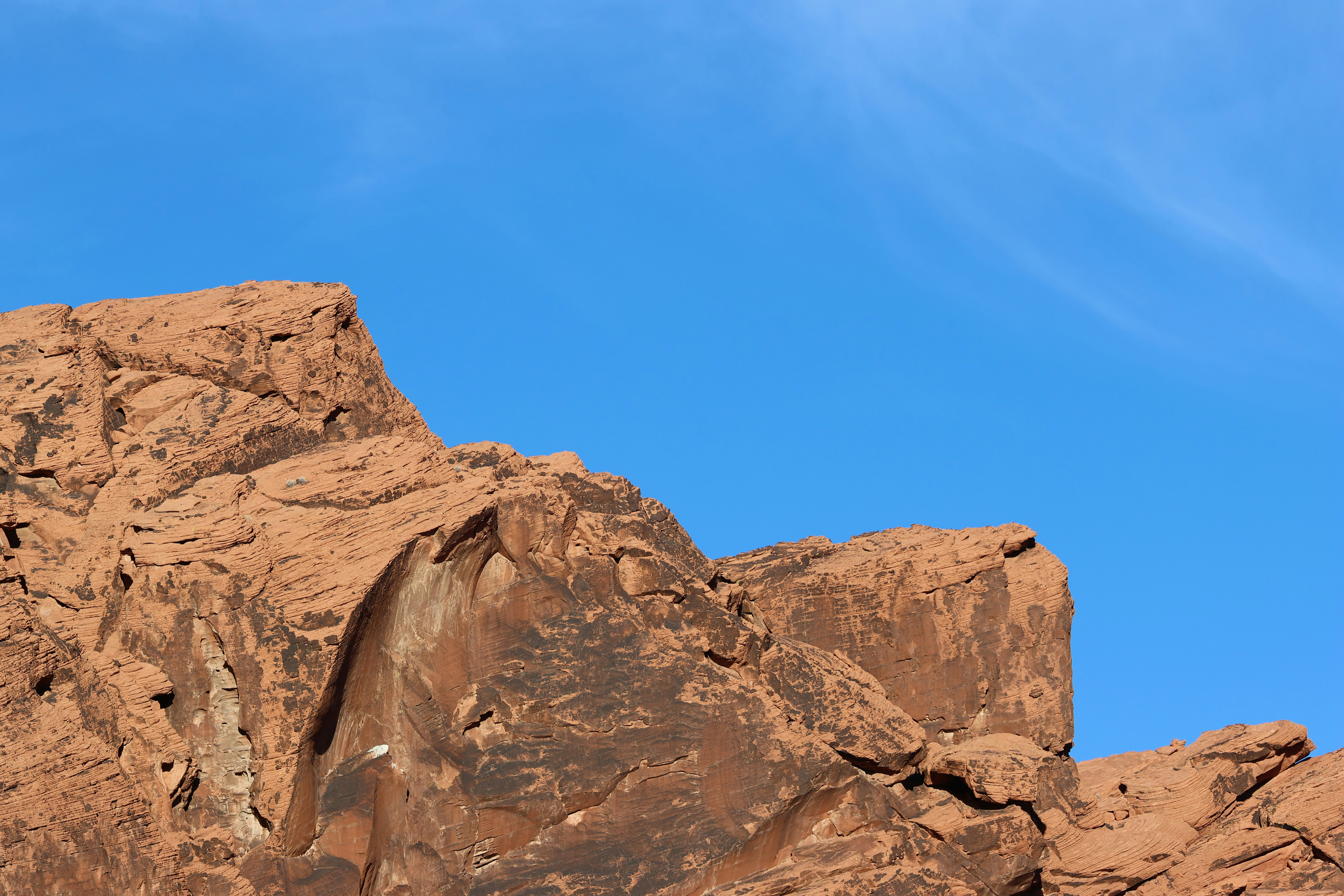 Photo by cornthechicken