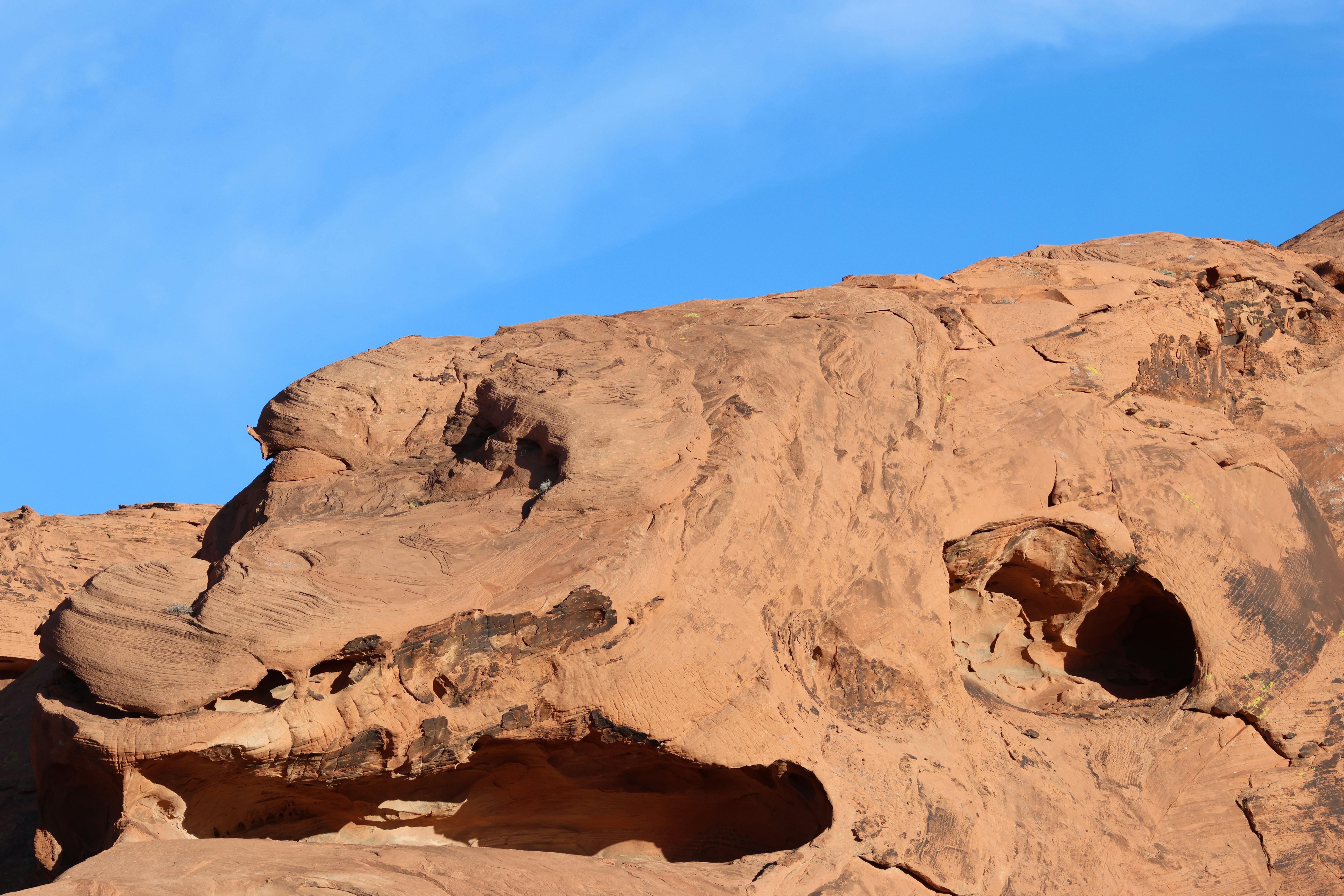 Photo by cornthechicken