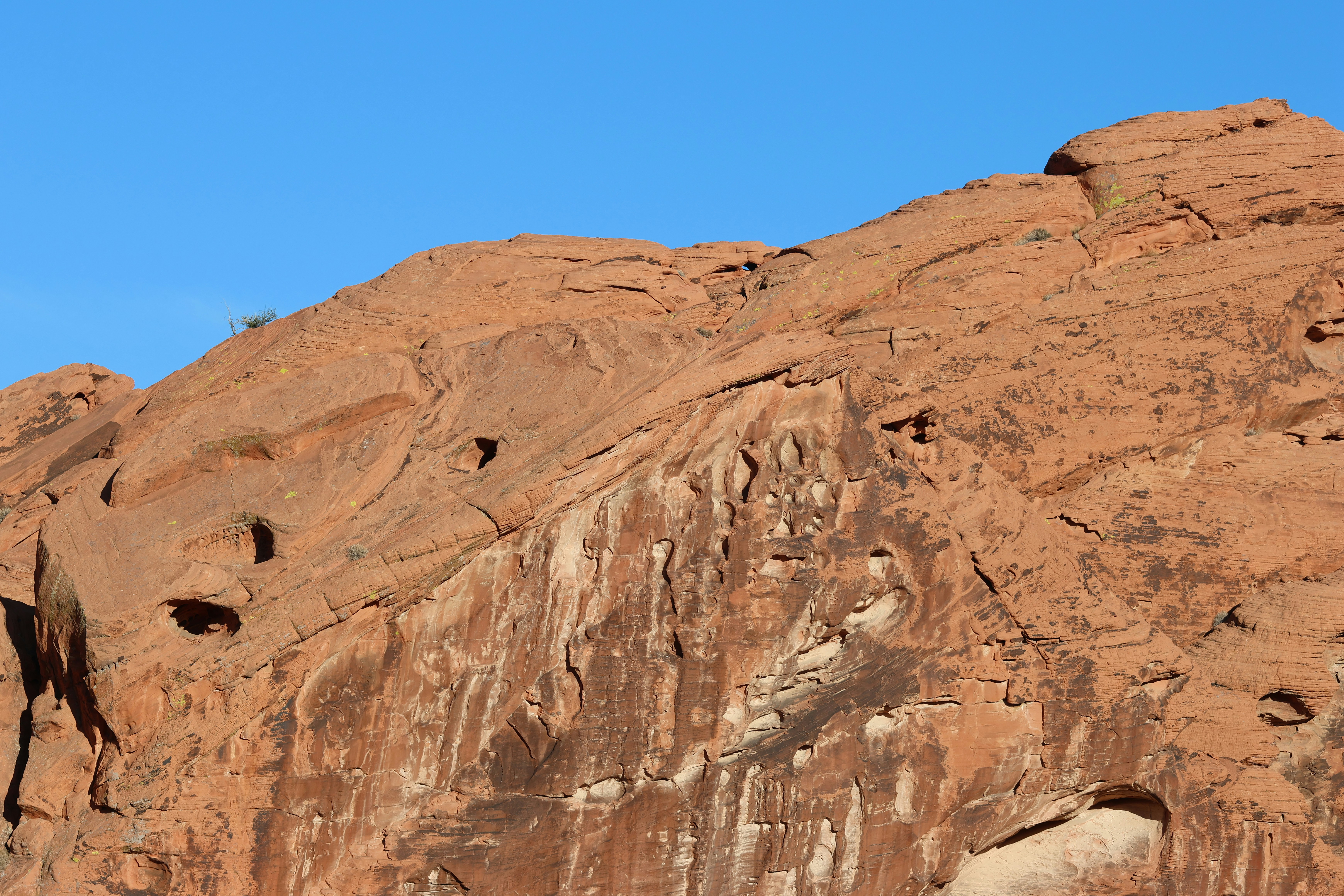 Photo by cornthechicken