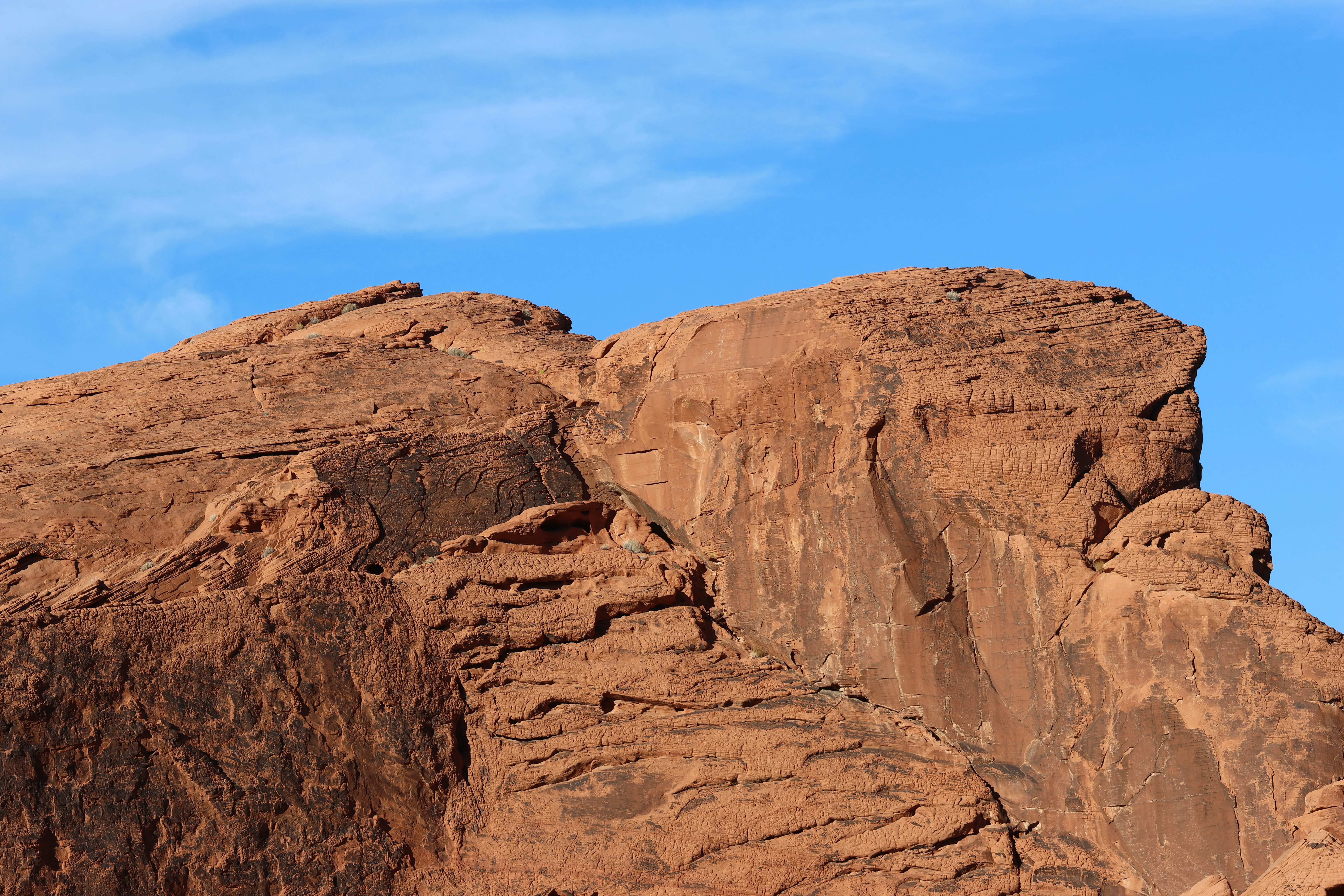 Photo by cornthechicken