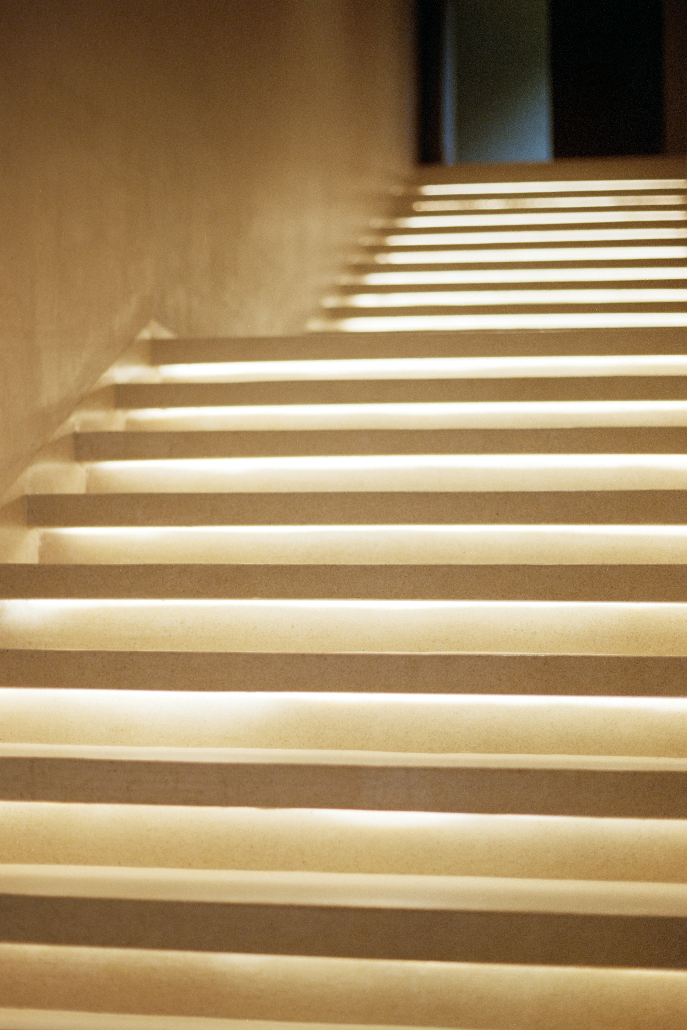 Photo by zhenyao_photo