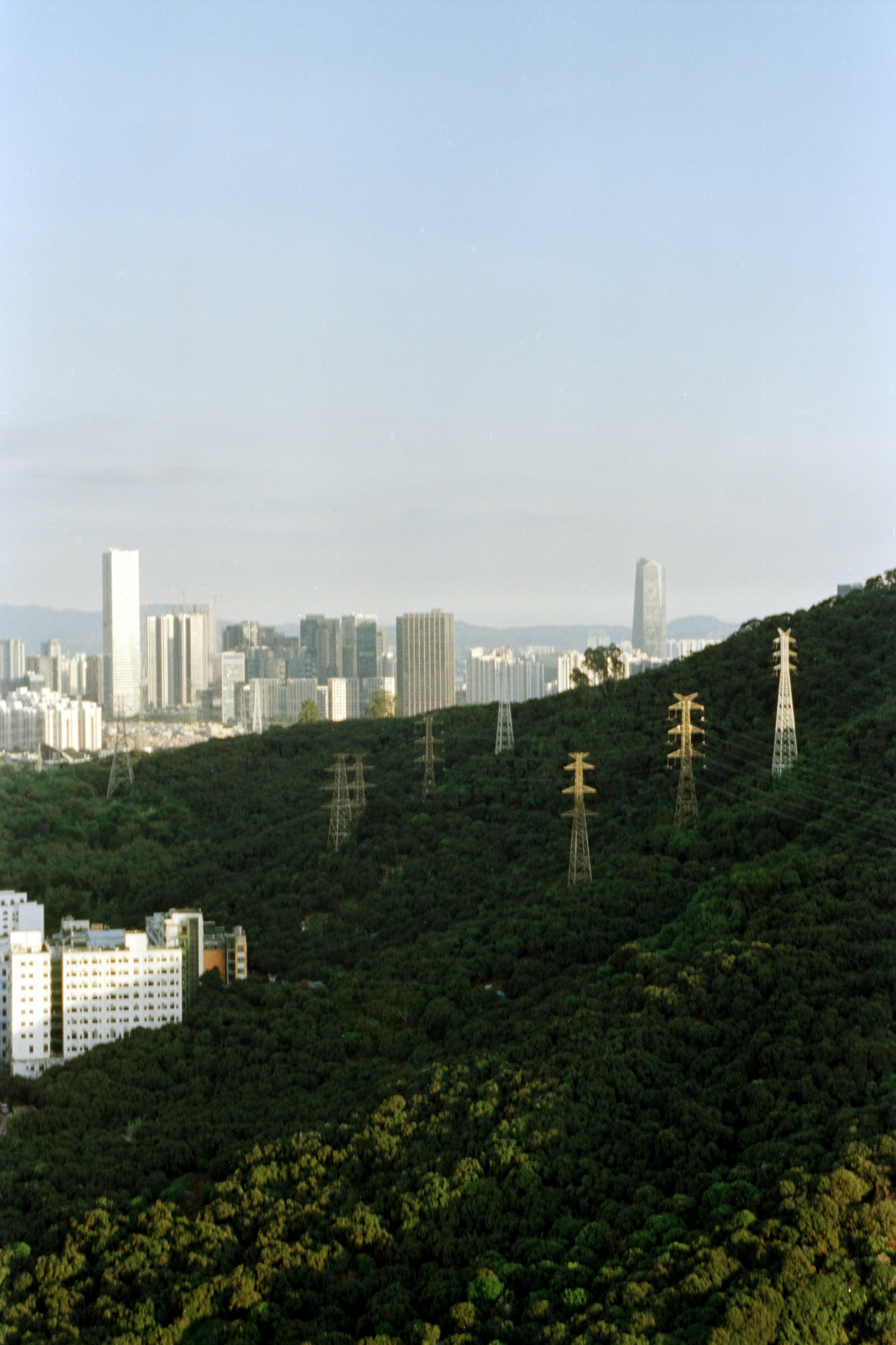 Photo by zhenyao_photo