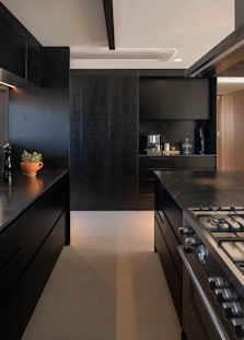 Sleek, modern kitchen with black cabinets and countertops.