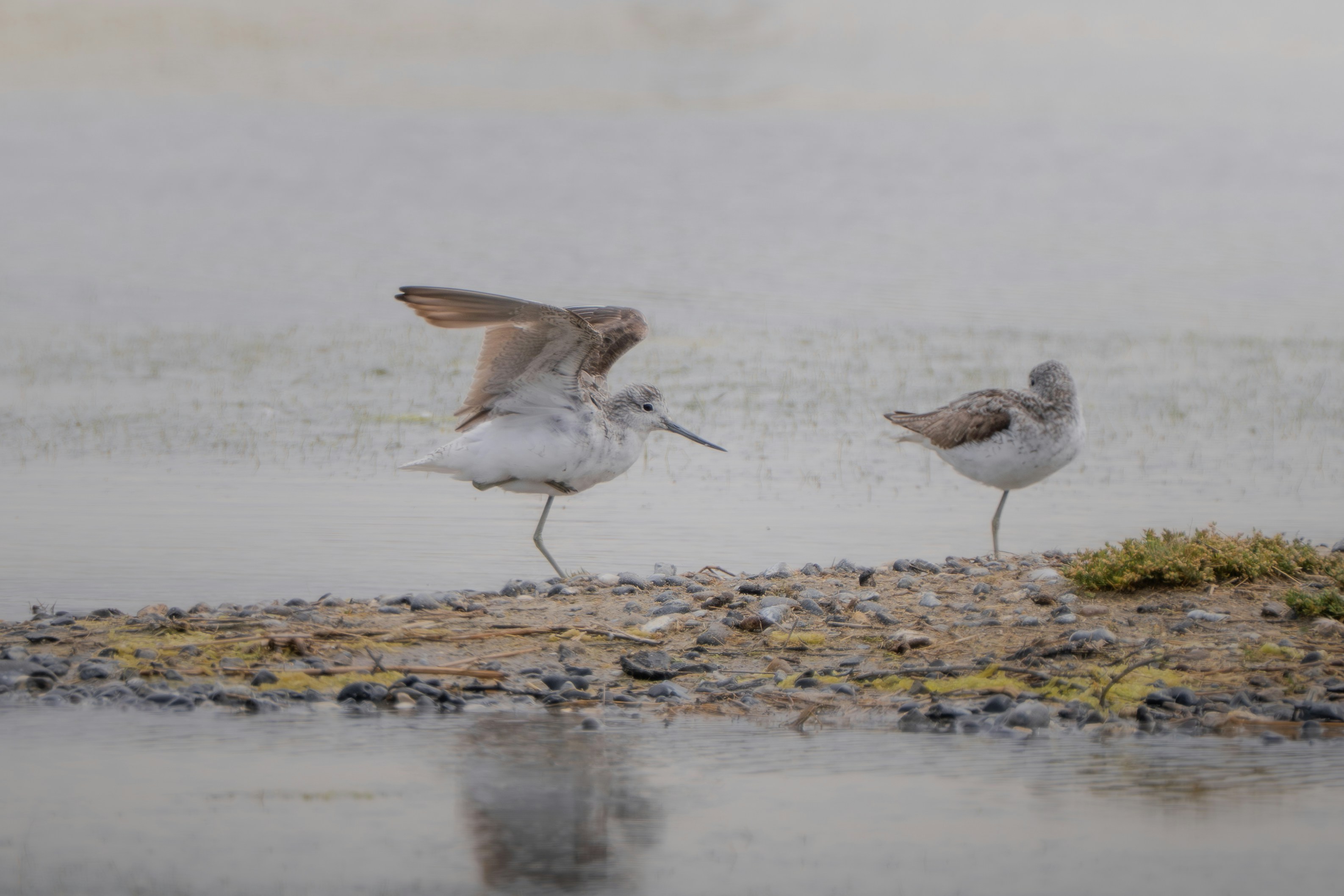 Photo by ronan_hello