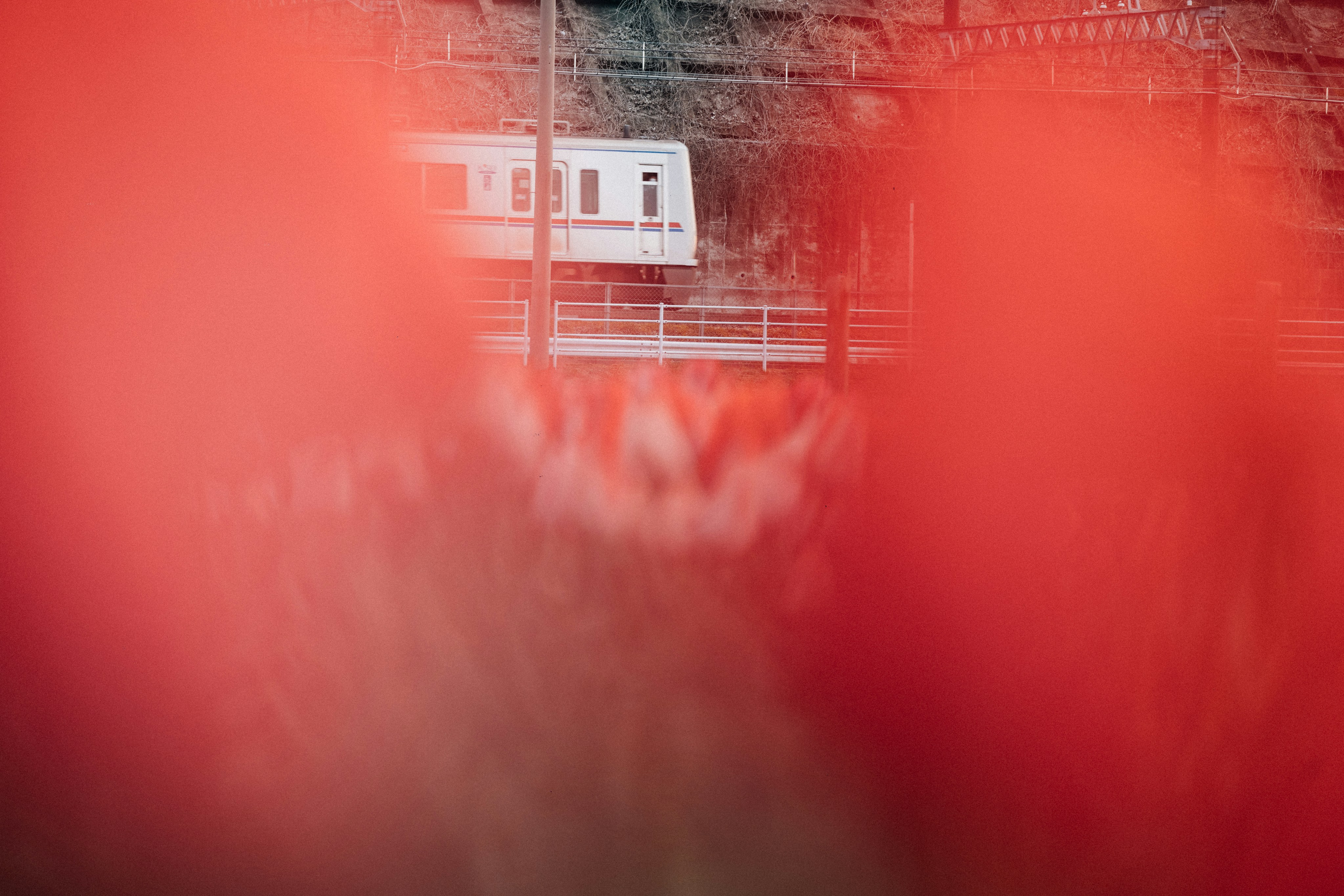 体育场景配图（资料示意）