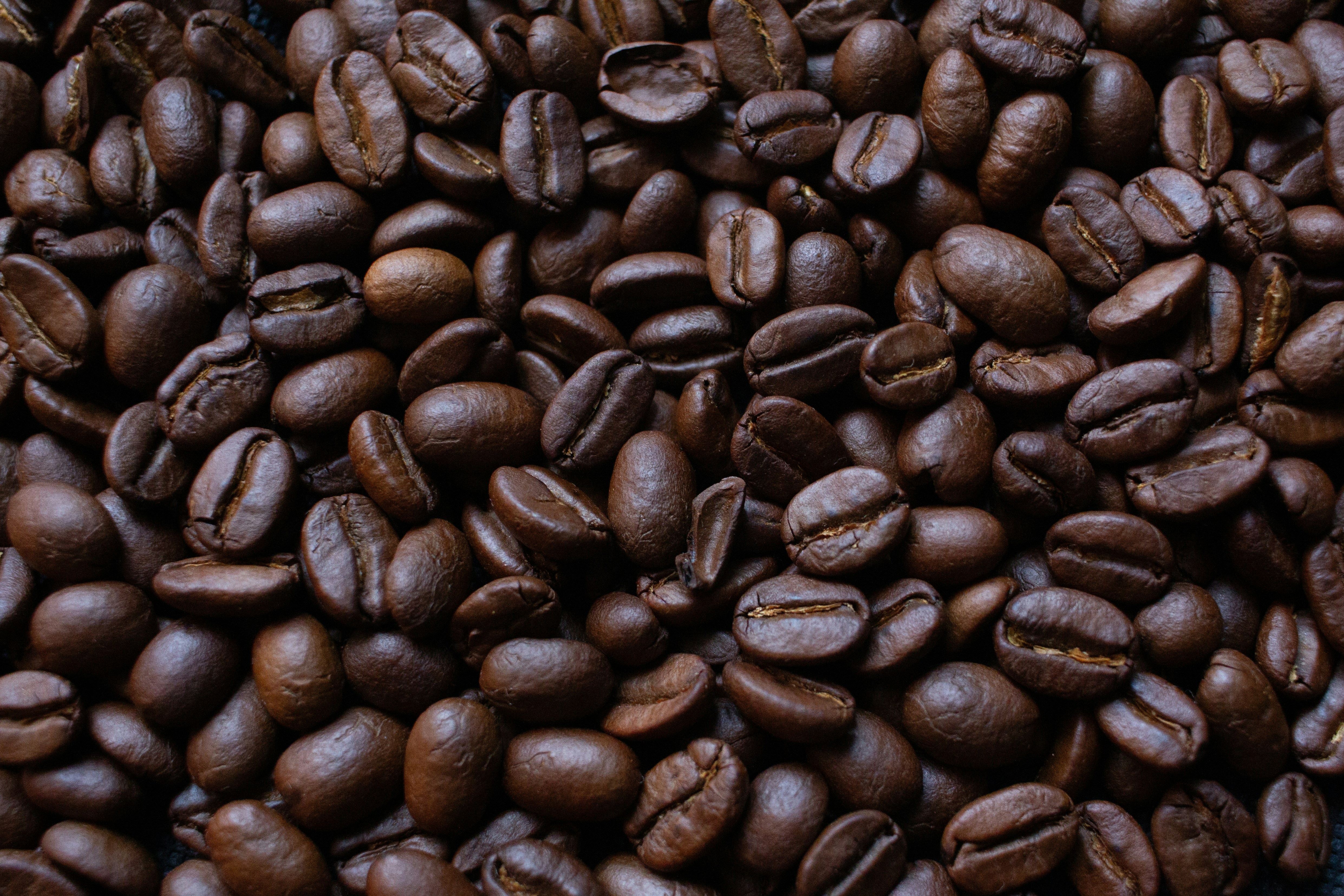 Photo by indraprojects