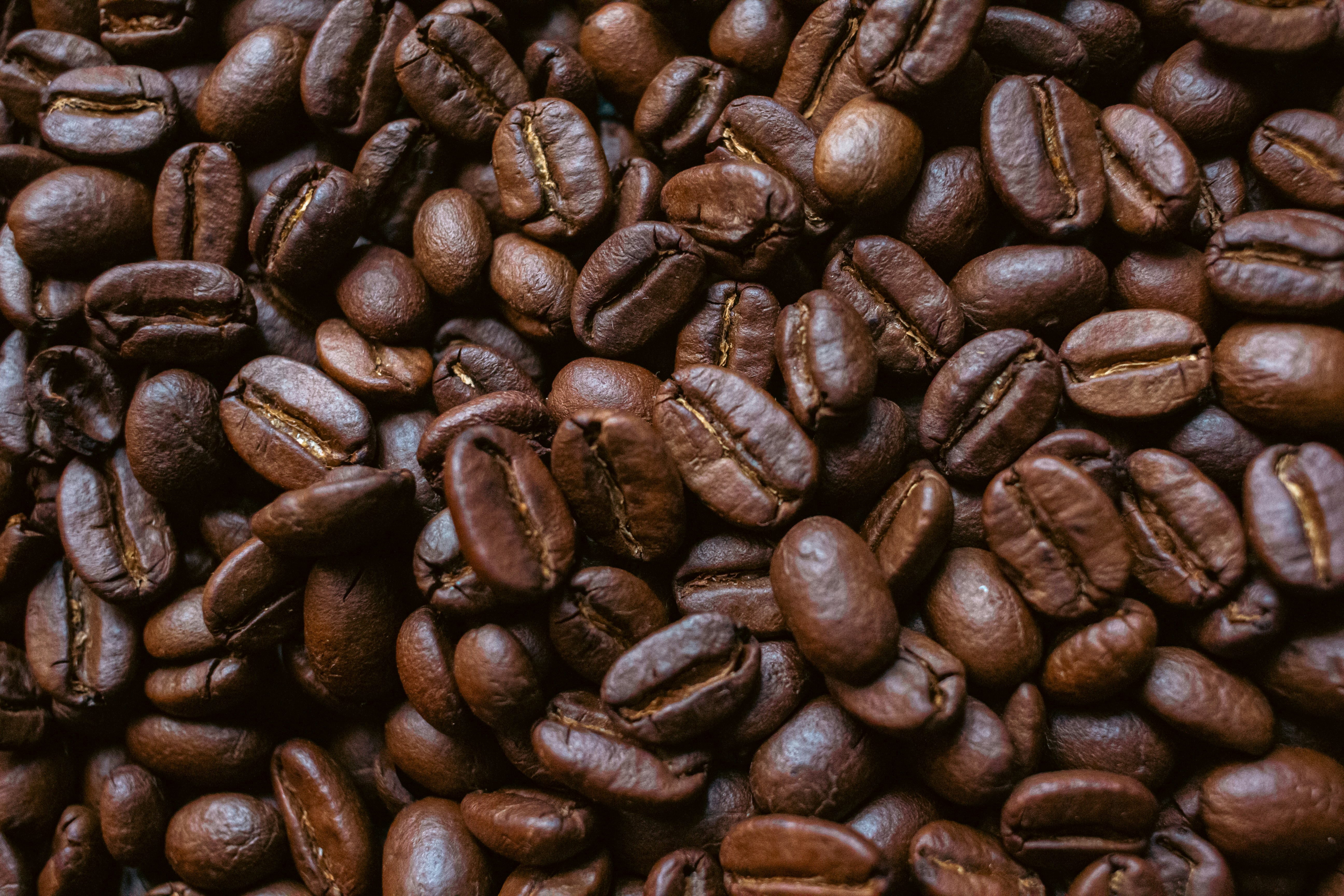 Photo by indraprojects