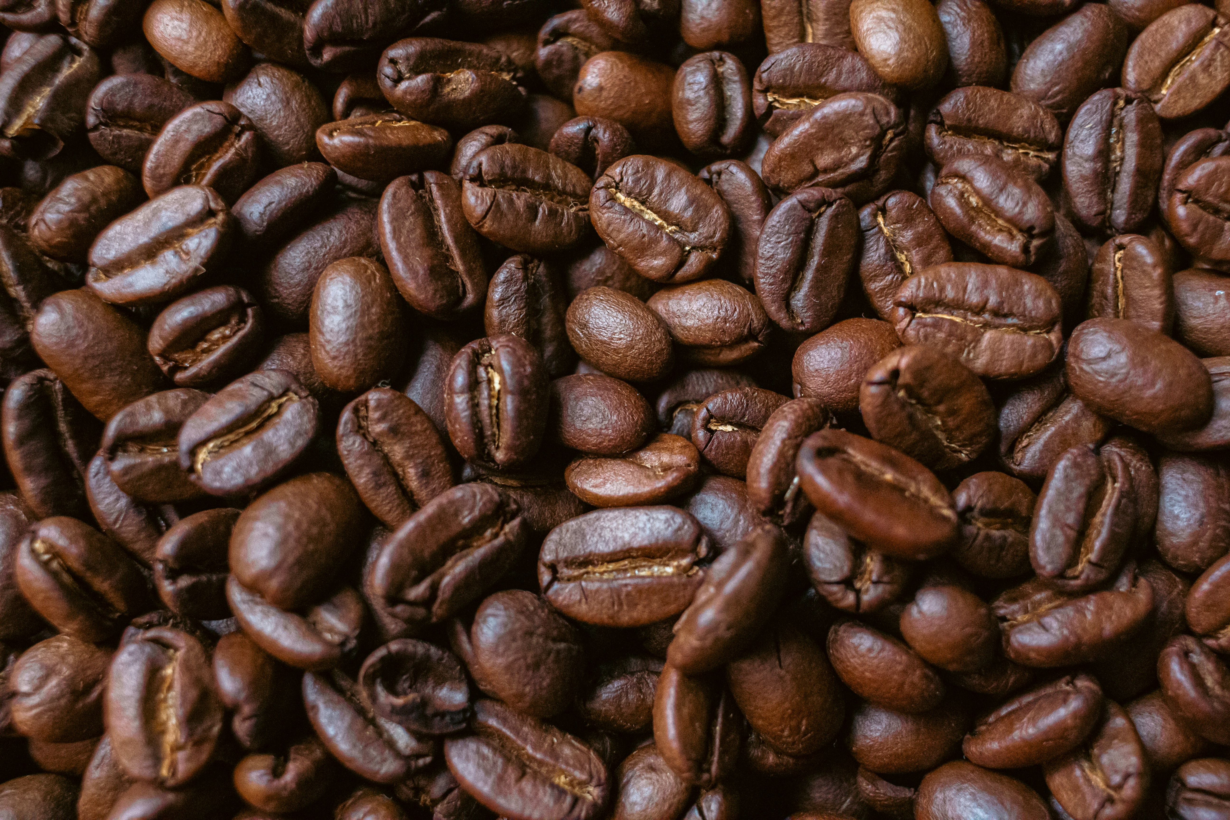 Close-up of roasted coffee beans