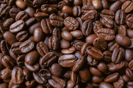 เมล็ดกาแฟคั่วเองคุณภาพระดับโรงแรม 5 ดาว