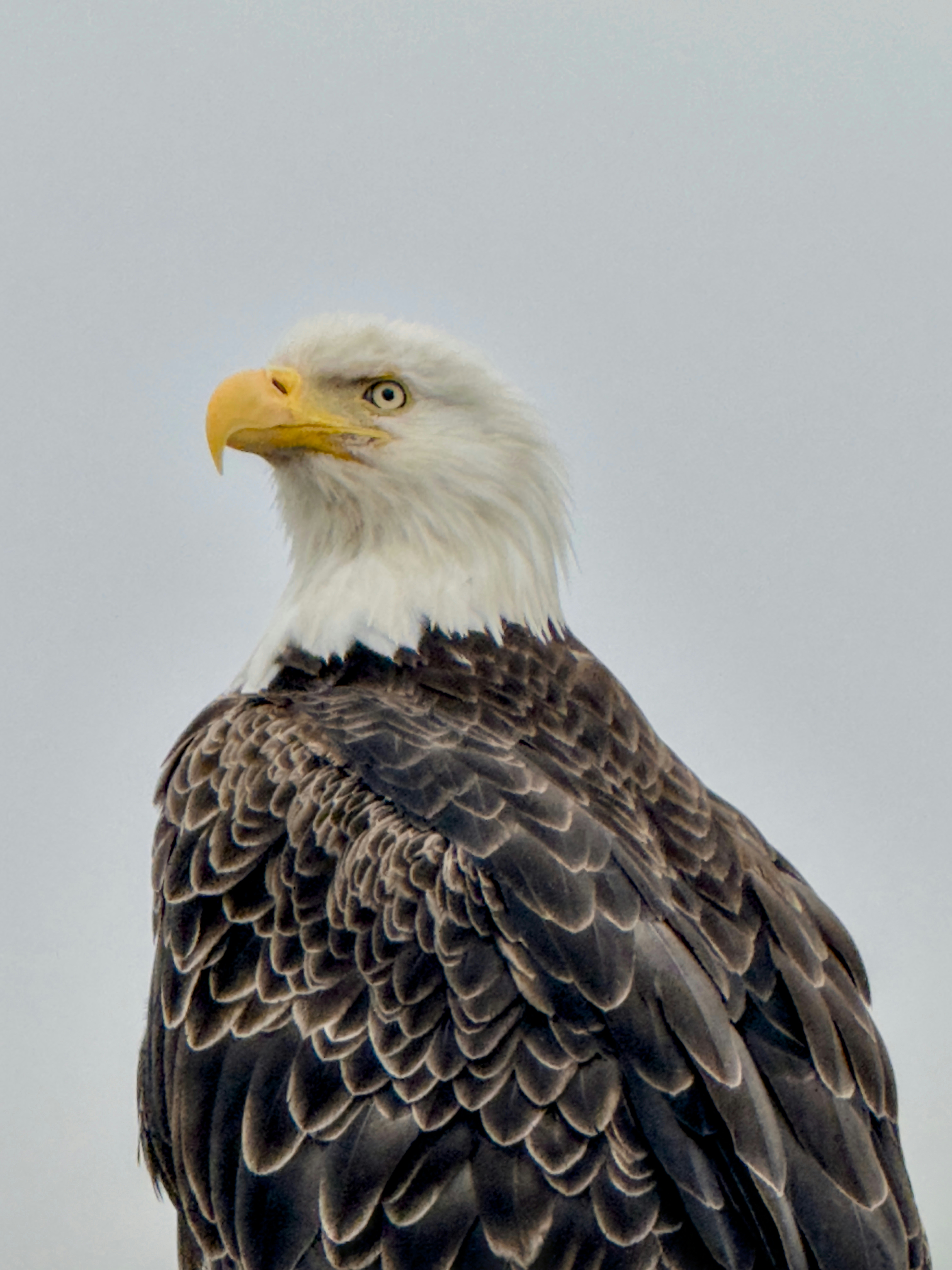 Photo by fickesphotos