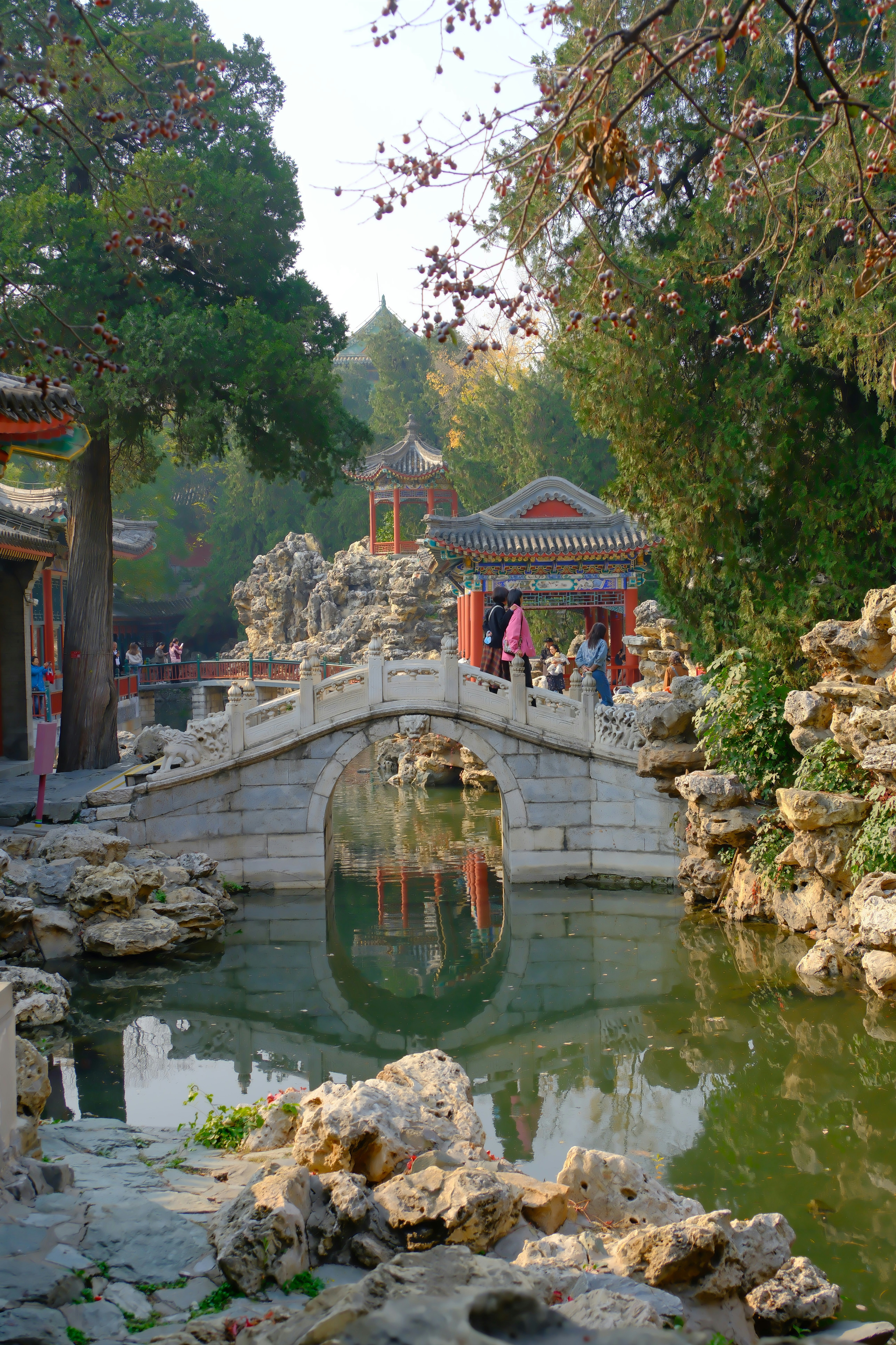 Photo by terrycarnivoroua