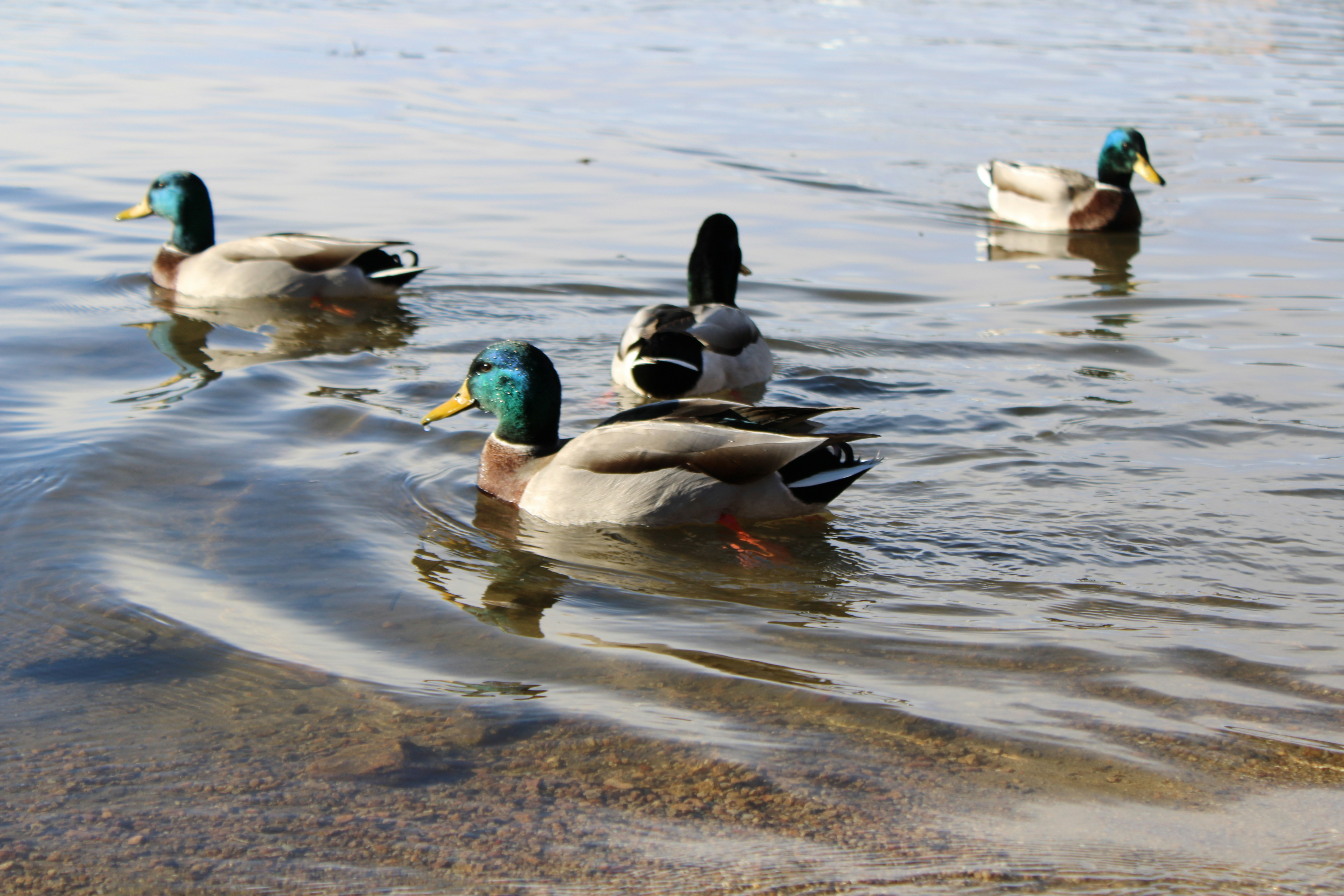 Photo by saibokaoerou